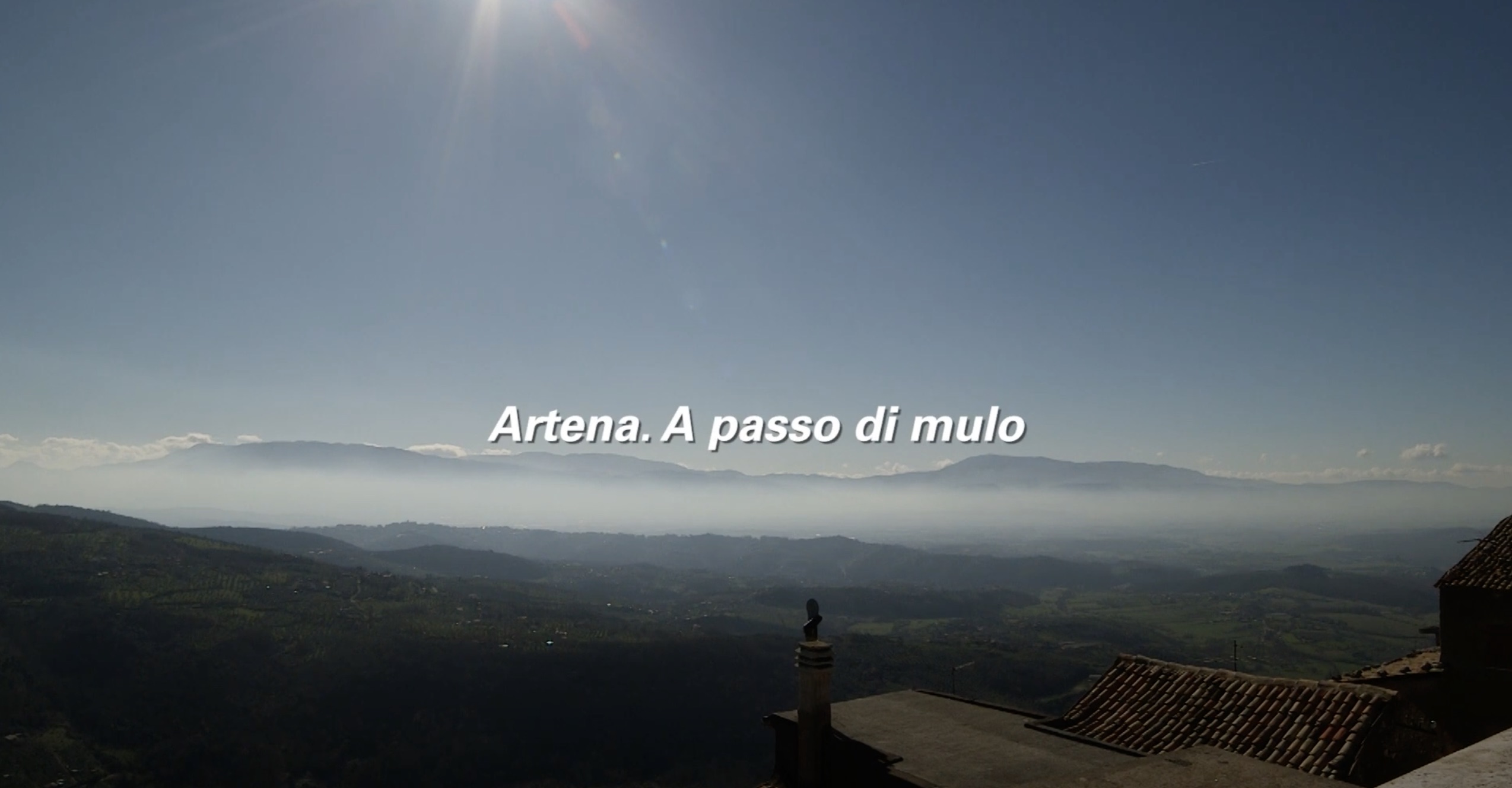 video.artena-mulo.cover_.jpeg