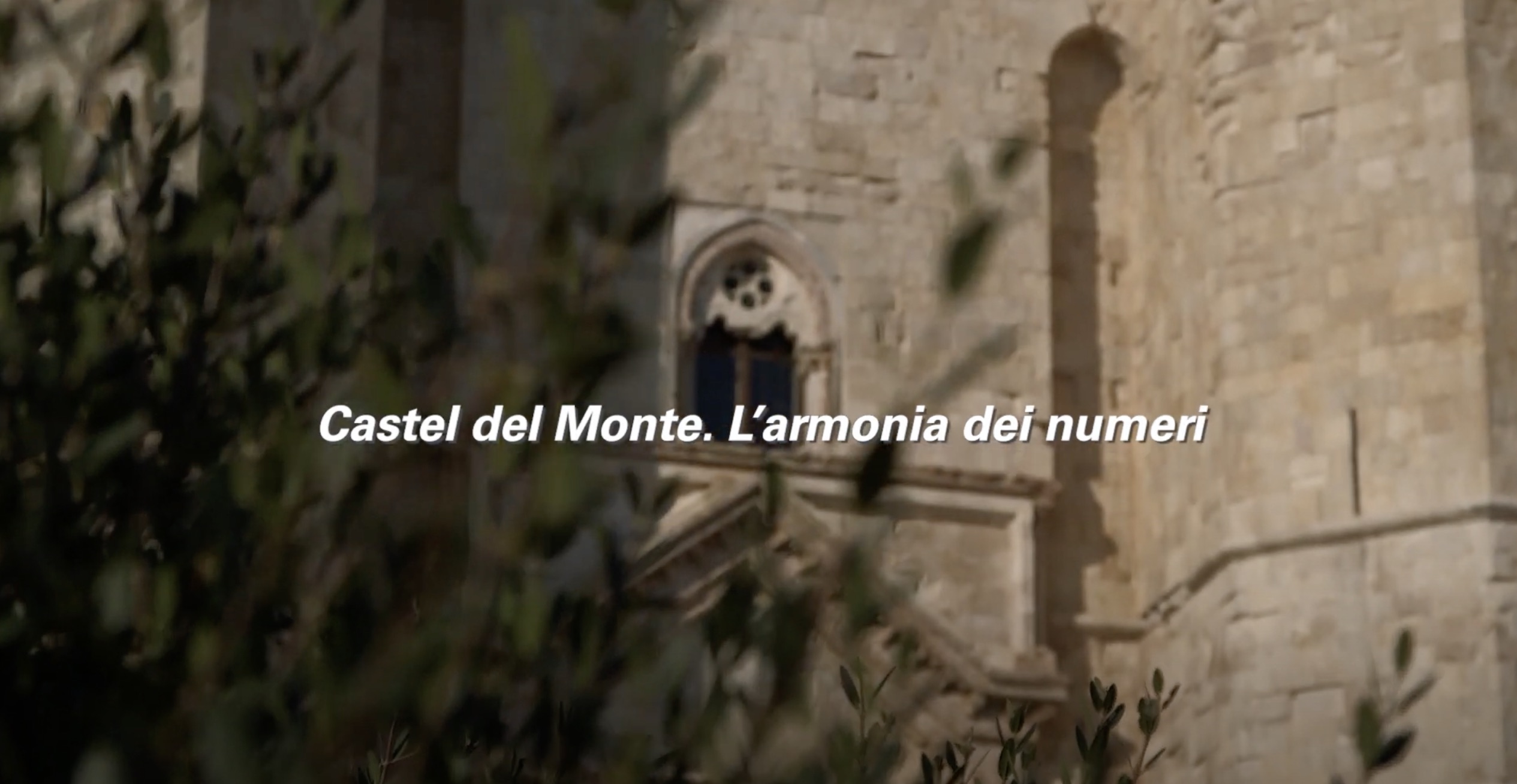 video.castel-armonia-numeri.cover_.jpeg