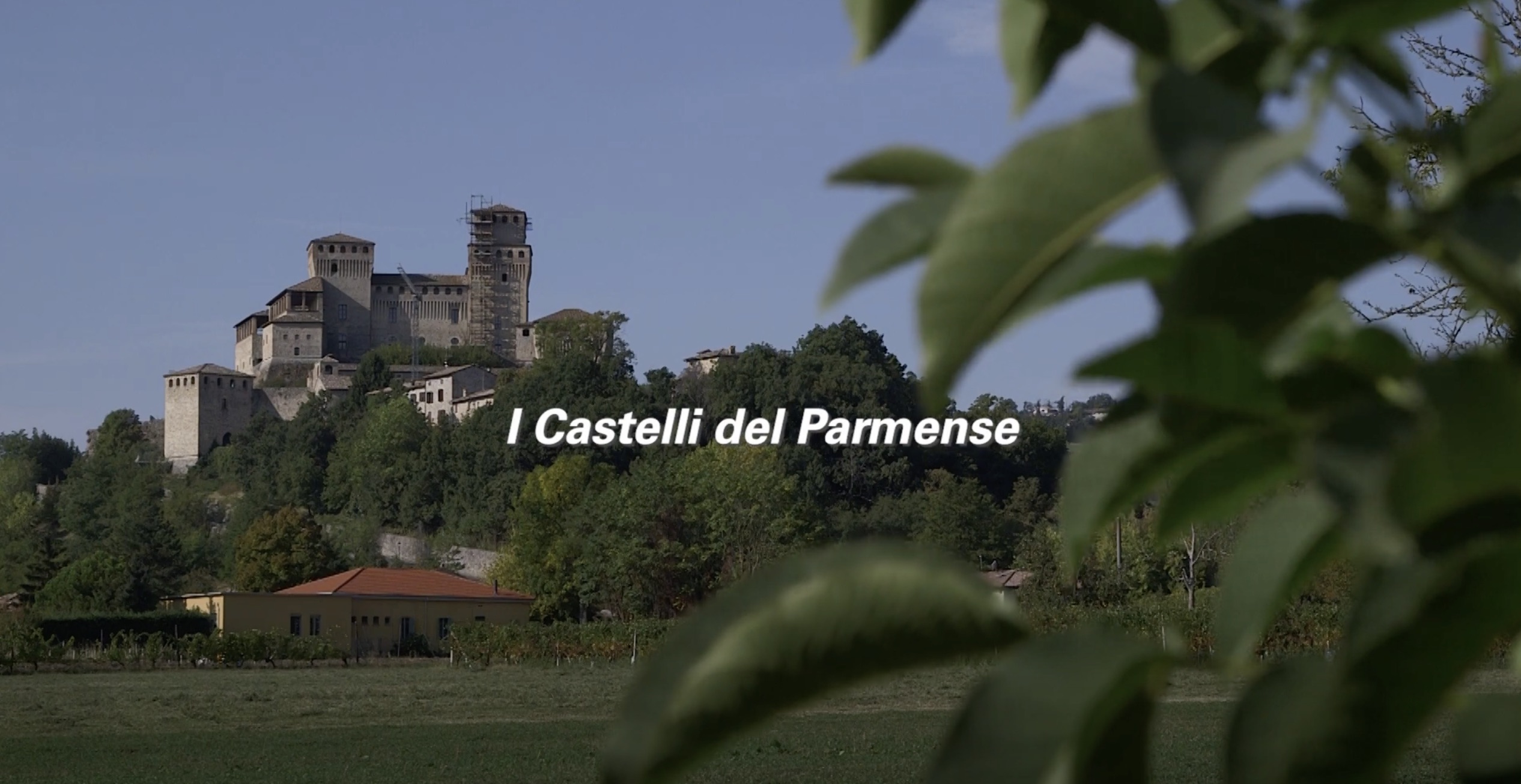 video.castelli-parmense.cover_-1.jpeg