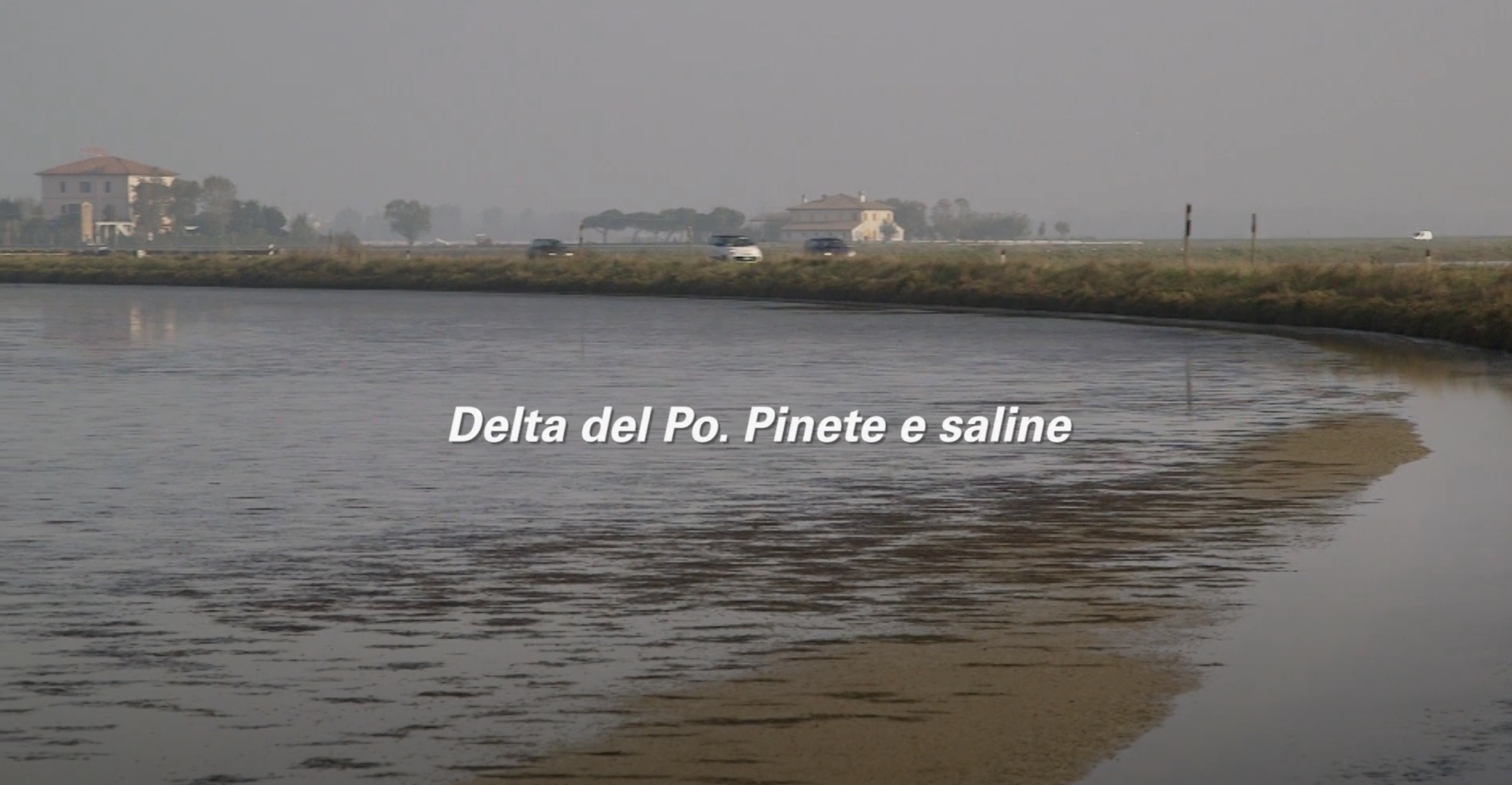 video.delta-po-saline.cover_.jpeg