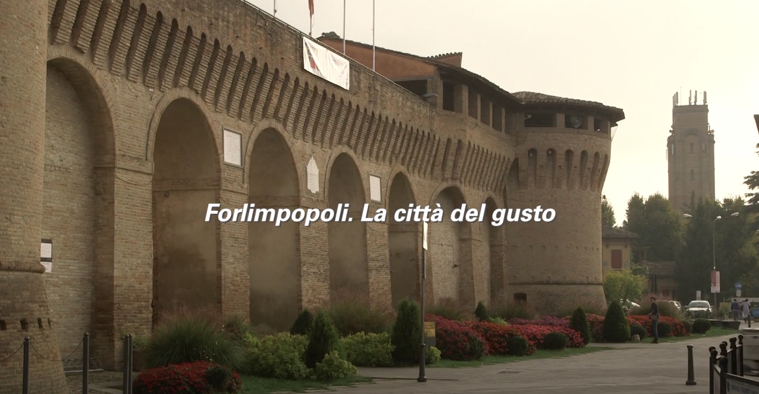 video.forlimpopoli.cover_.jpeg