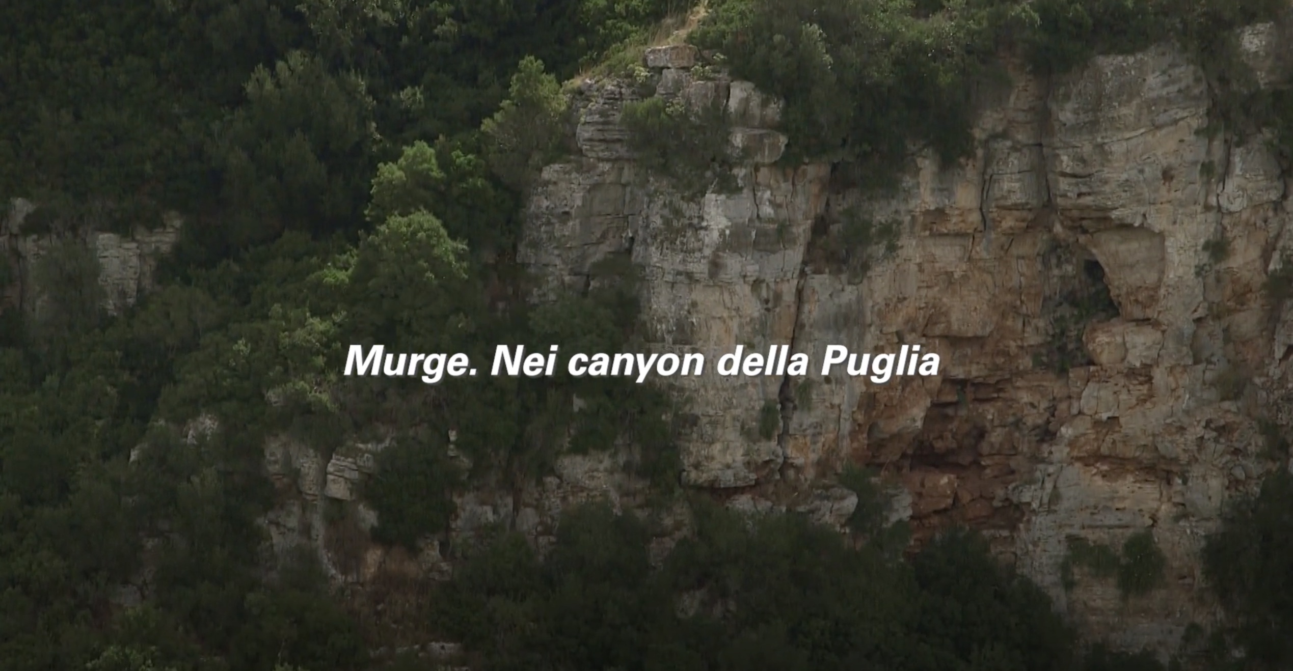video.murge-canyon-puglia.cover_.jpeg