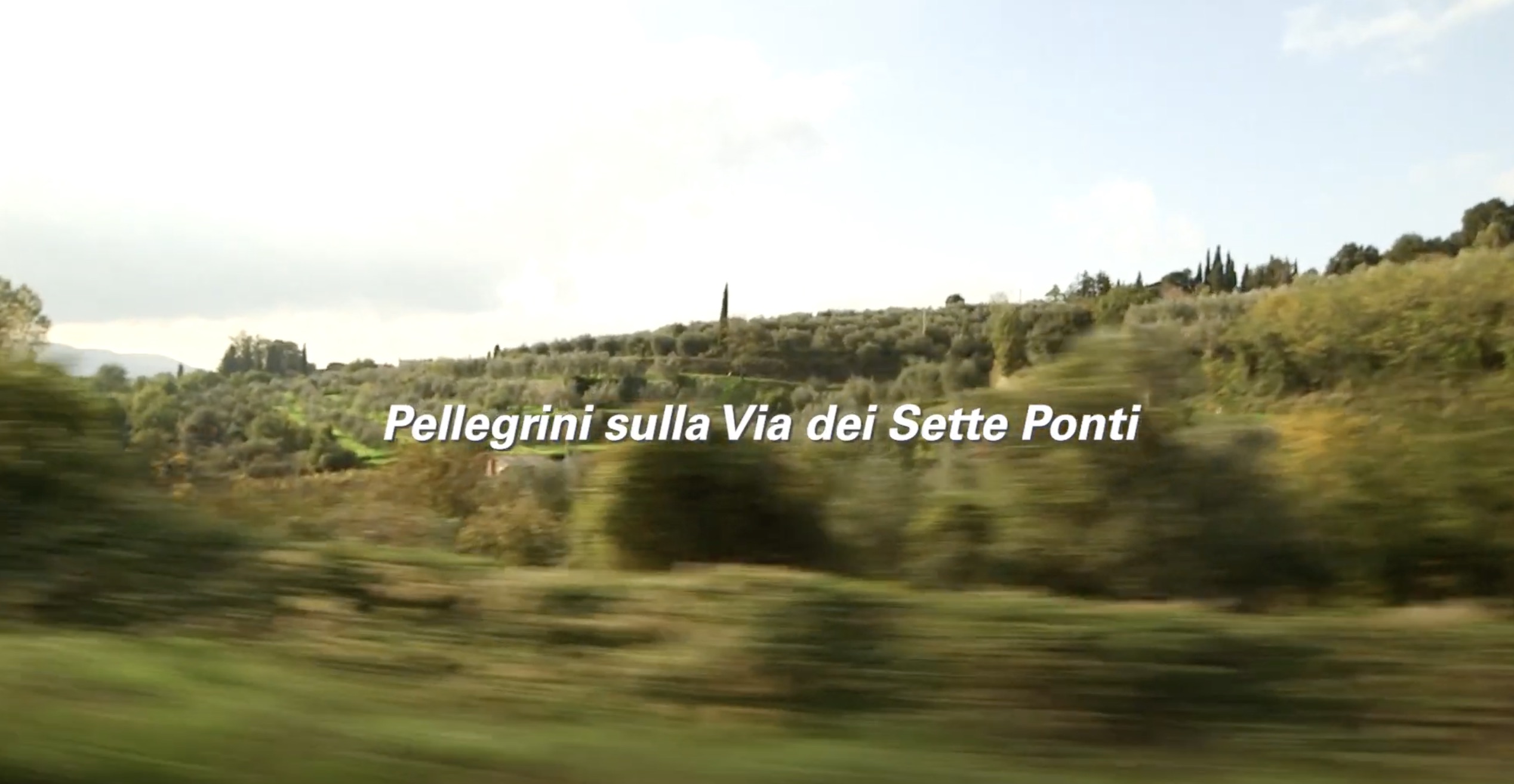video.pellegrini-sette-ponti.cover_.jpeg