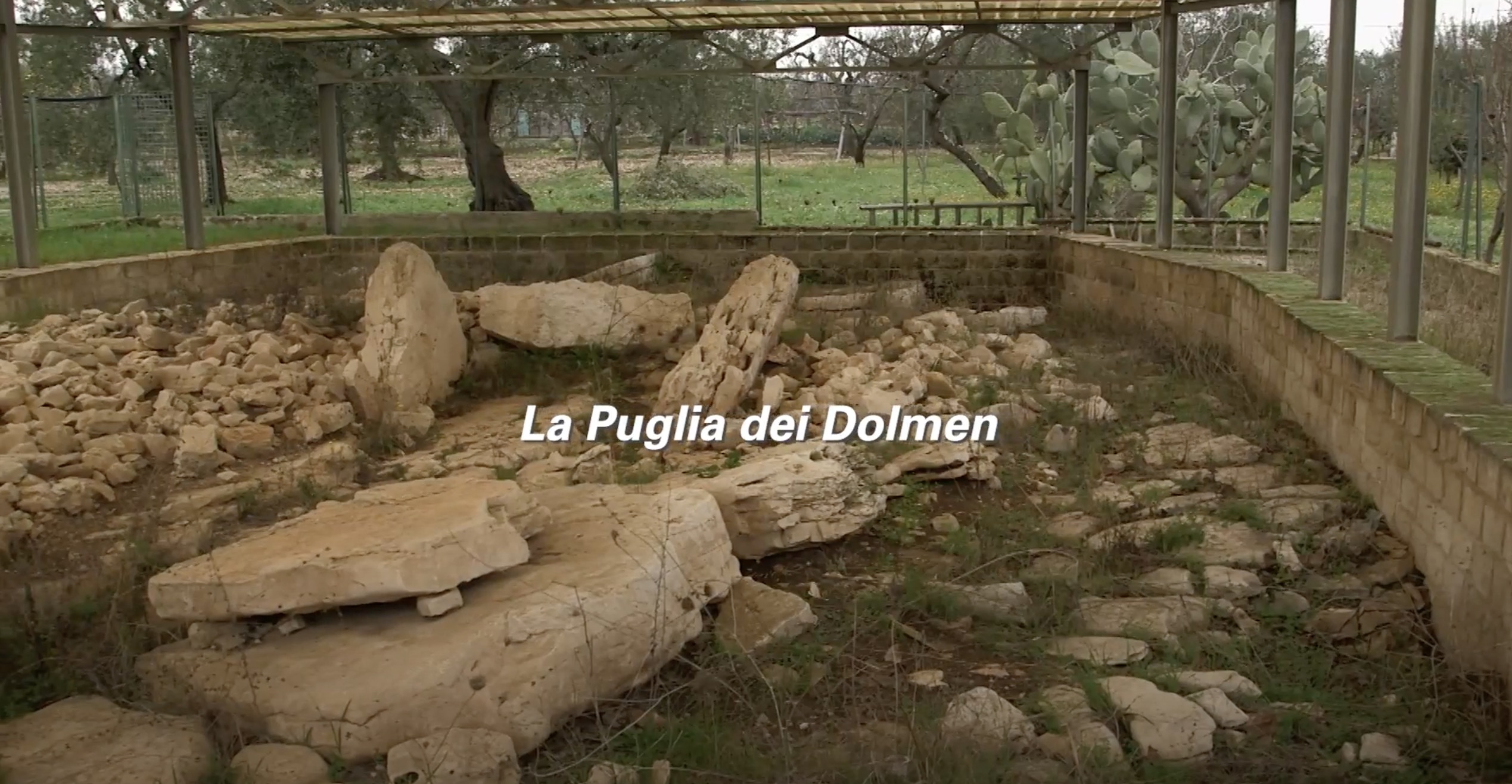 video.puglia-dolmen.cover_.jpeg