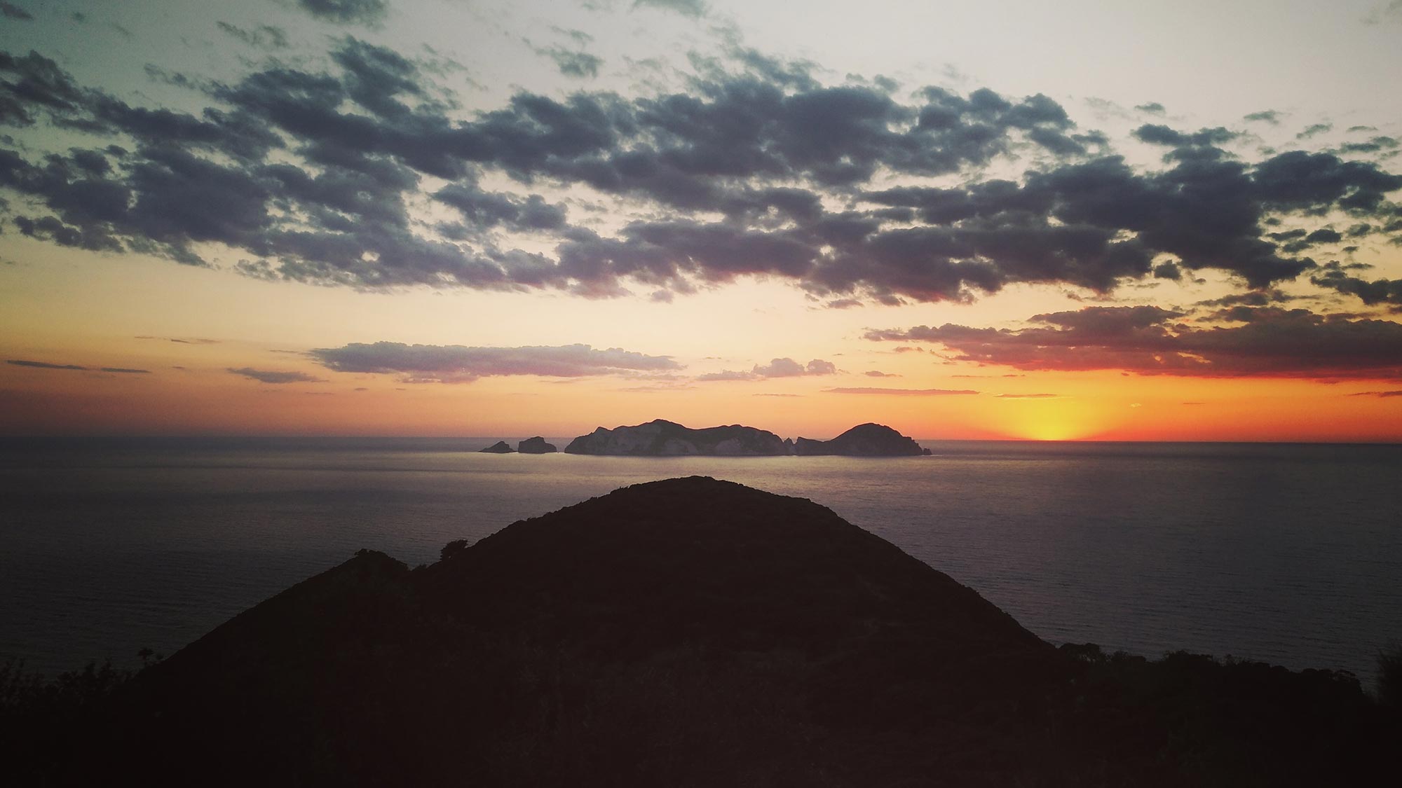 Palmarola L'isola di Palmarola © Monica Martinelli