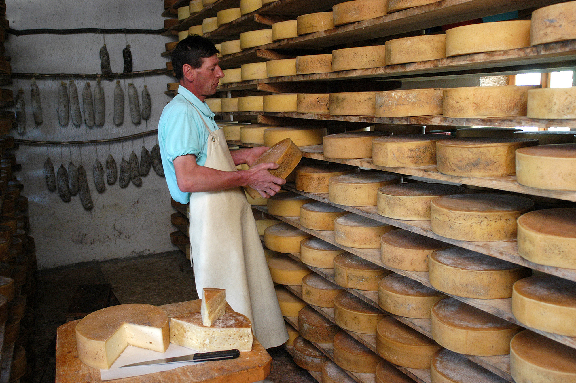 © Marco Bruzzo e Franco Tanel