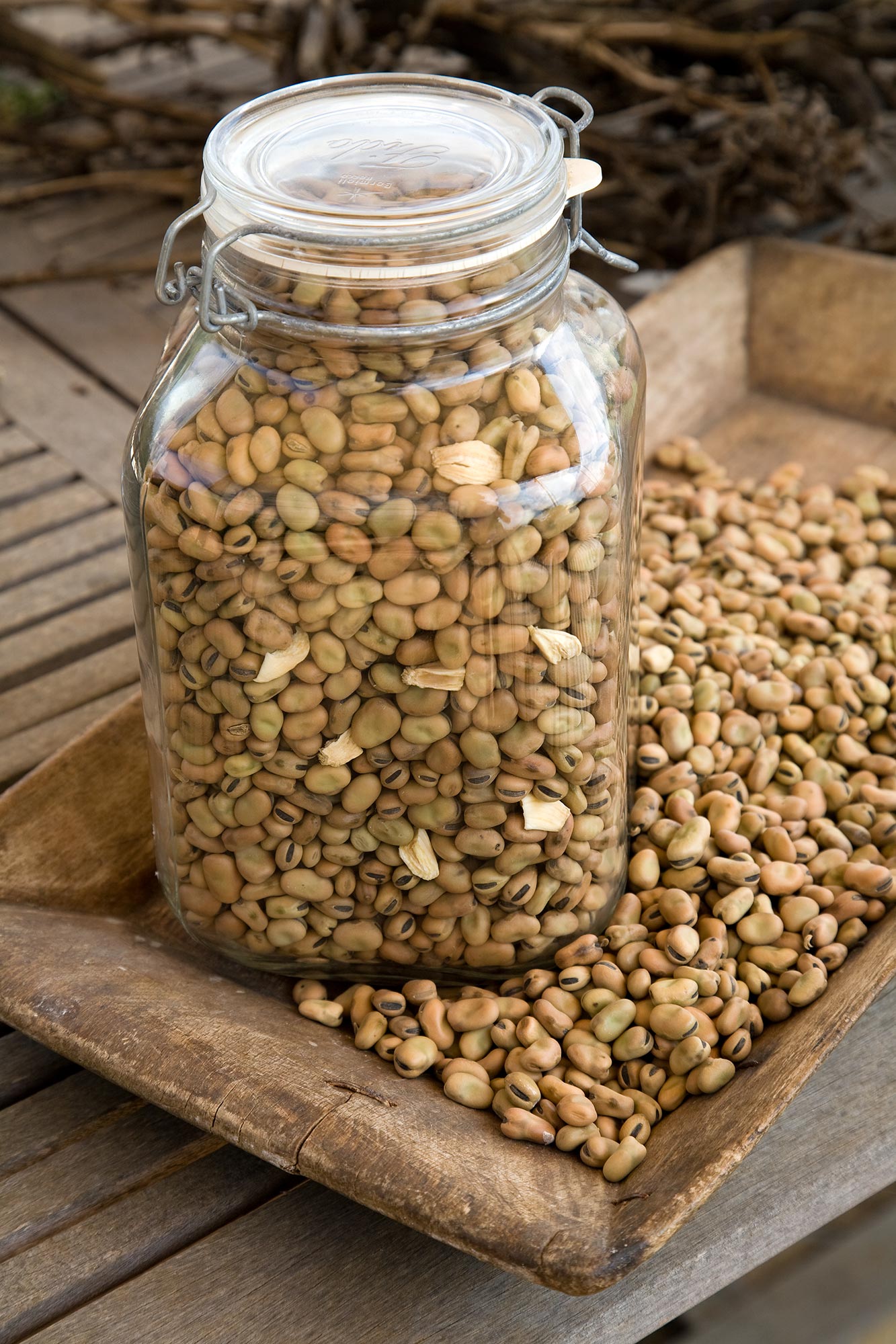 Legumi ternani © Paolo Andrea Montanaro