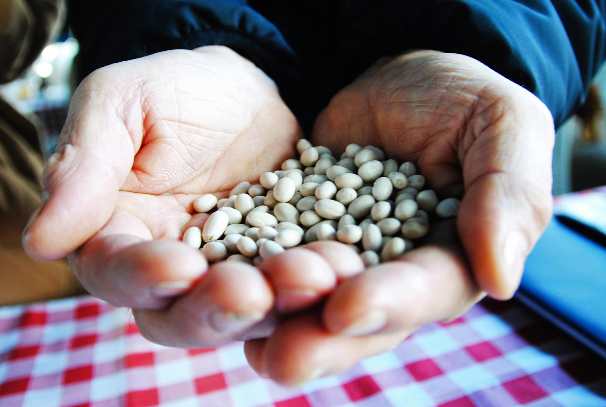 Legumi ternani © Valerie Ganio Vecchiolino