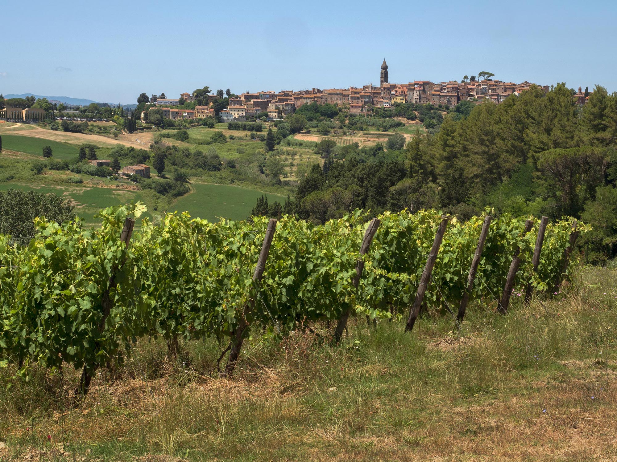 Peccioli Veduta panoramica di Pecciolo © Studio Cesura, Luca Santese