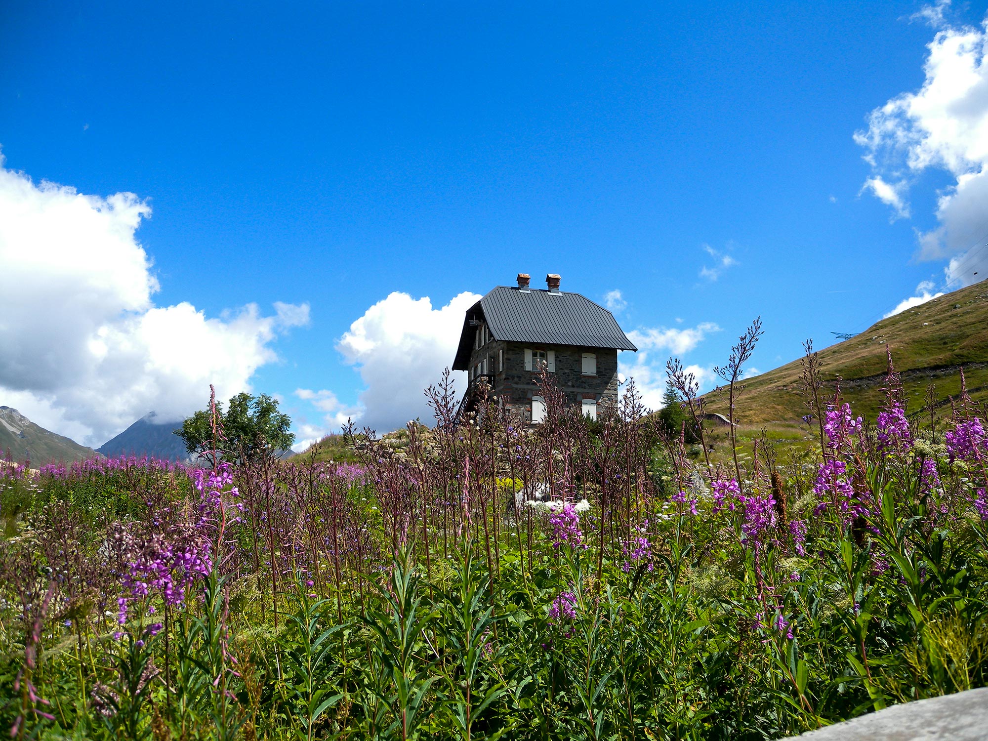 Il giardino alpino Chanousia Il giardino alpino Chanousia © Consorzio Operatori Turistici La Thuile