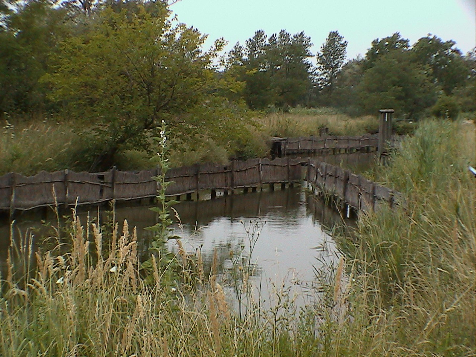 Canali nell'oasi di Valle Averto © F. Marcone