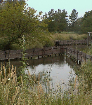 Canali nell'oasi di Valle Averto © F. Marcone