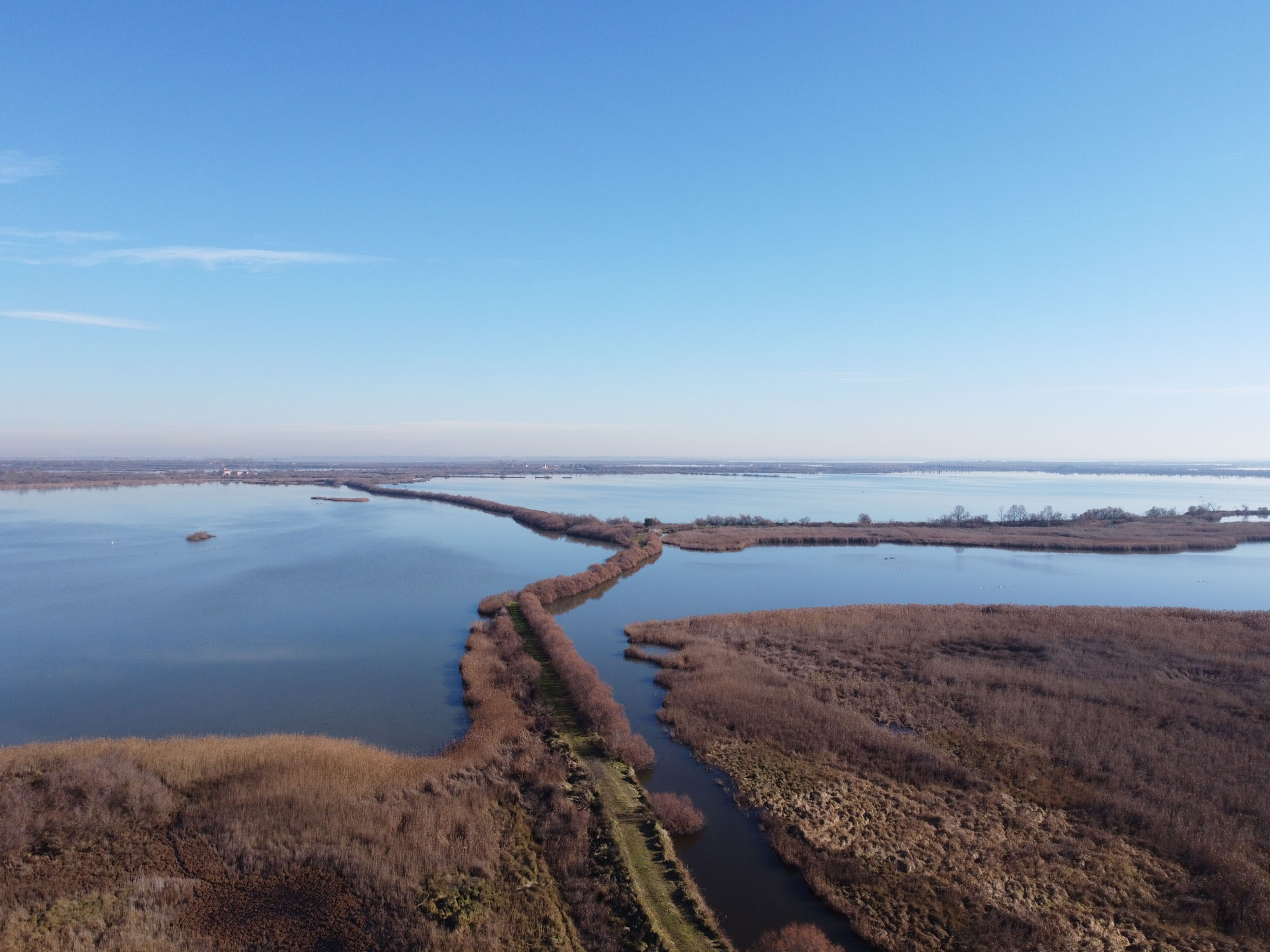 Oasi di Valle Averto © Francesco Scarton