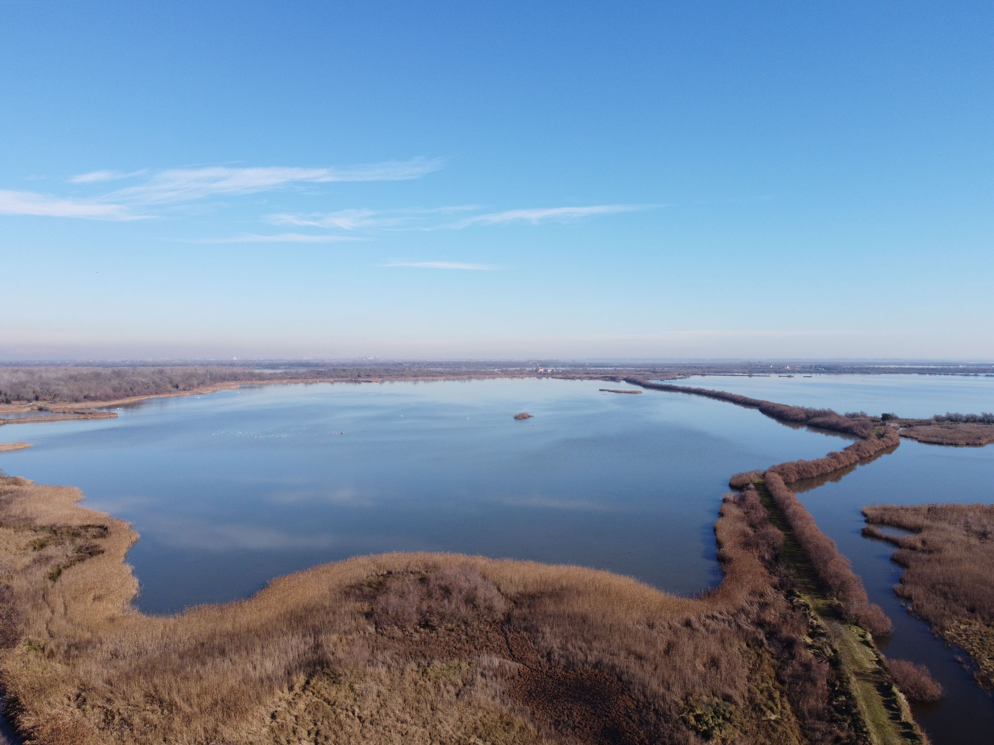 Oasi di Valle Averto © Francesco Scarton