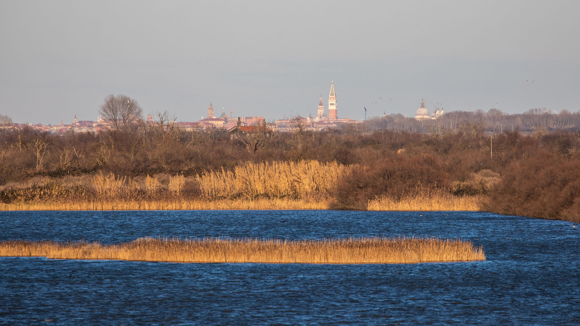 Oasi di Valle Averto verso Venezia © Renato Palazzi