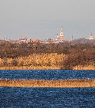 Oasi di Valle Averto verso Venezia © Renato Palazzi