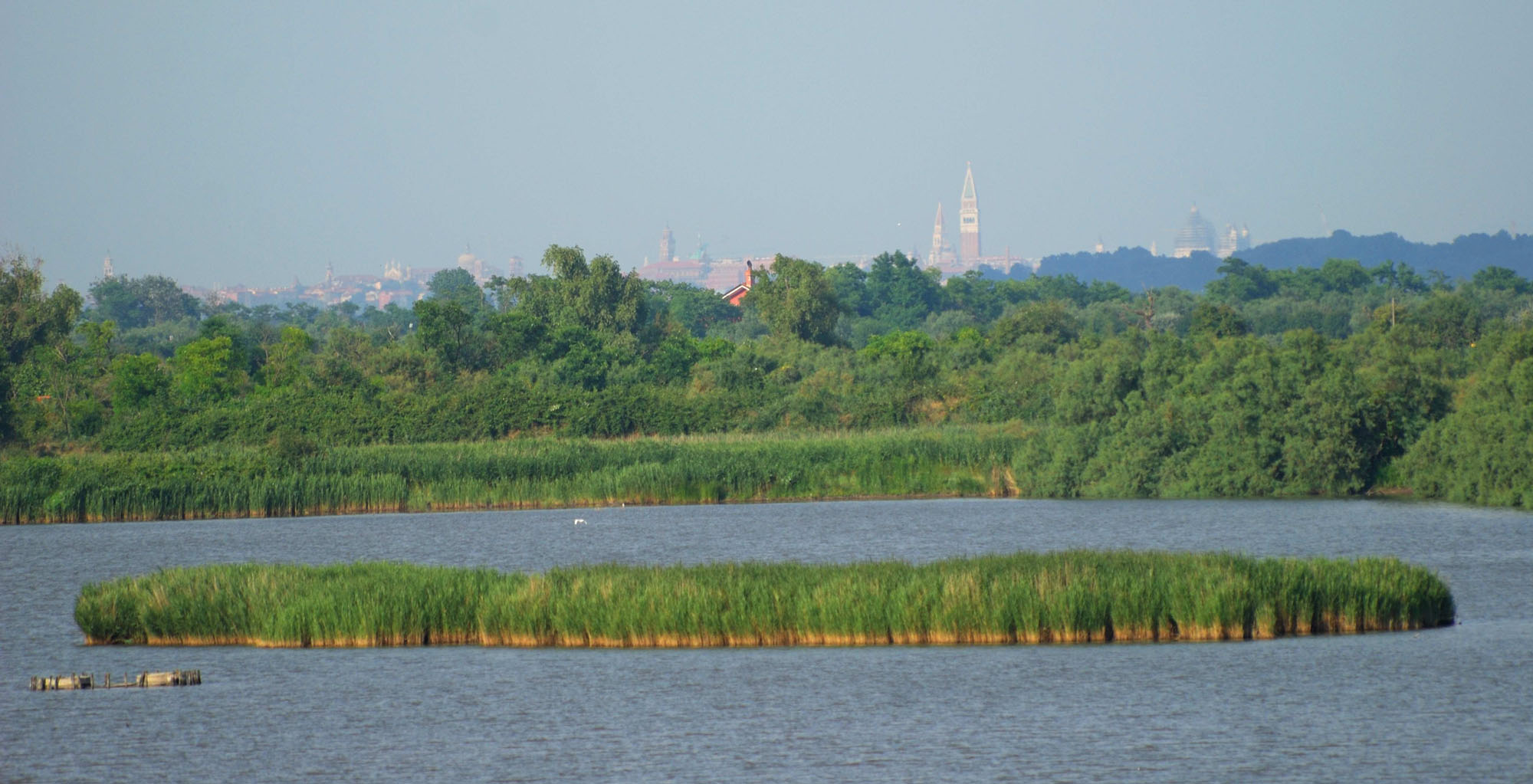 Oasi di Valle Averto verso San Marco © S. Ardito