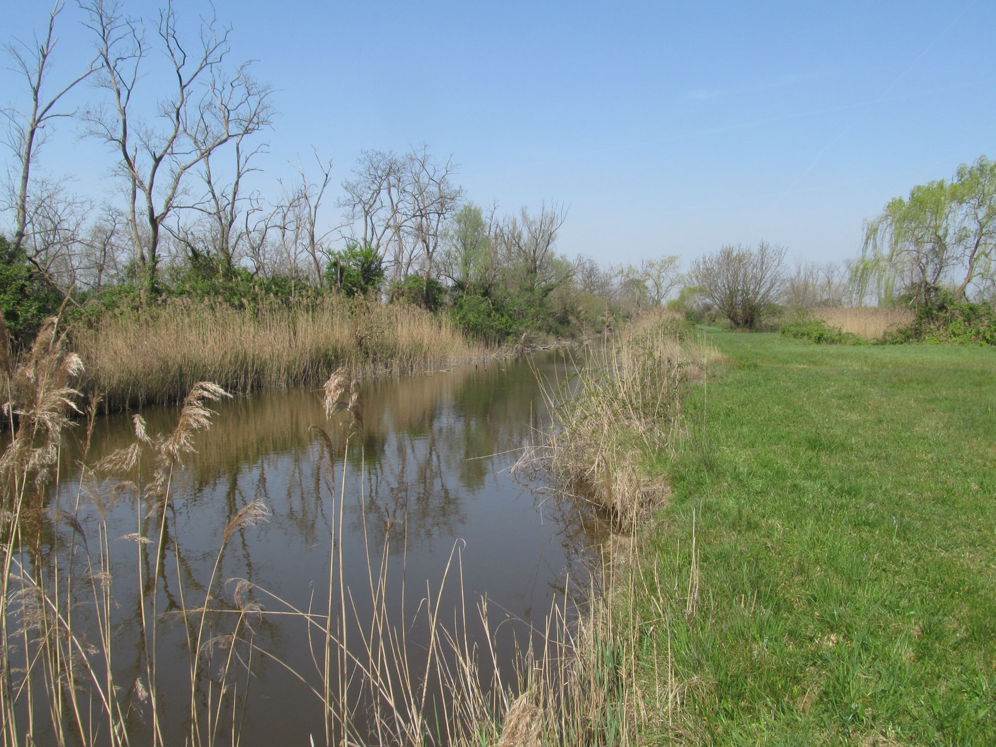 Canale nell'oasi di Valle Averto © M. Bernardi