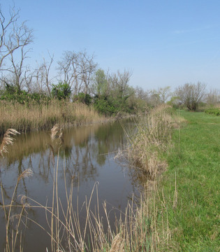Canale nell'oasi di Valle Averto © M. Bernardi
