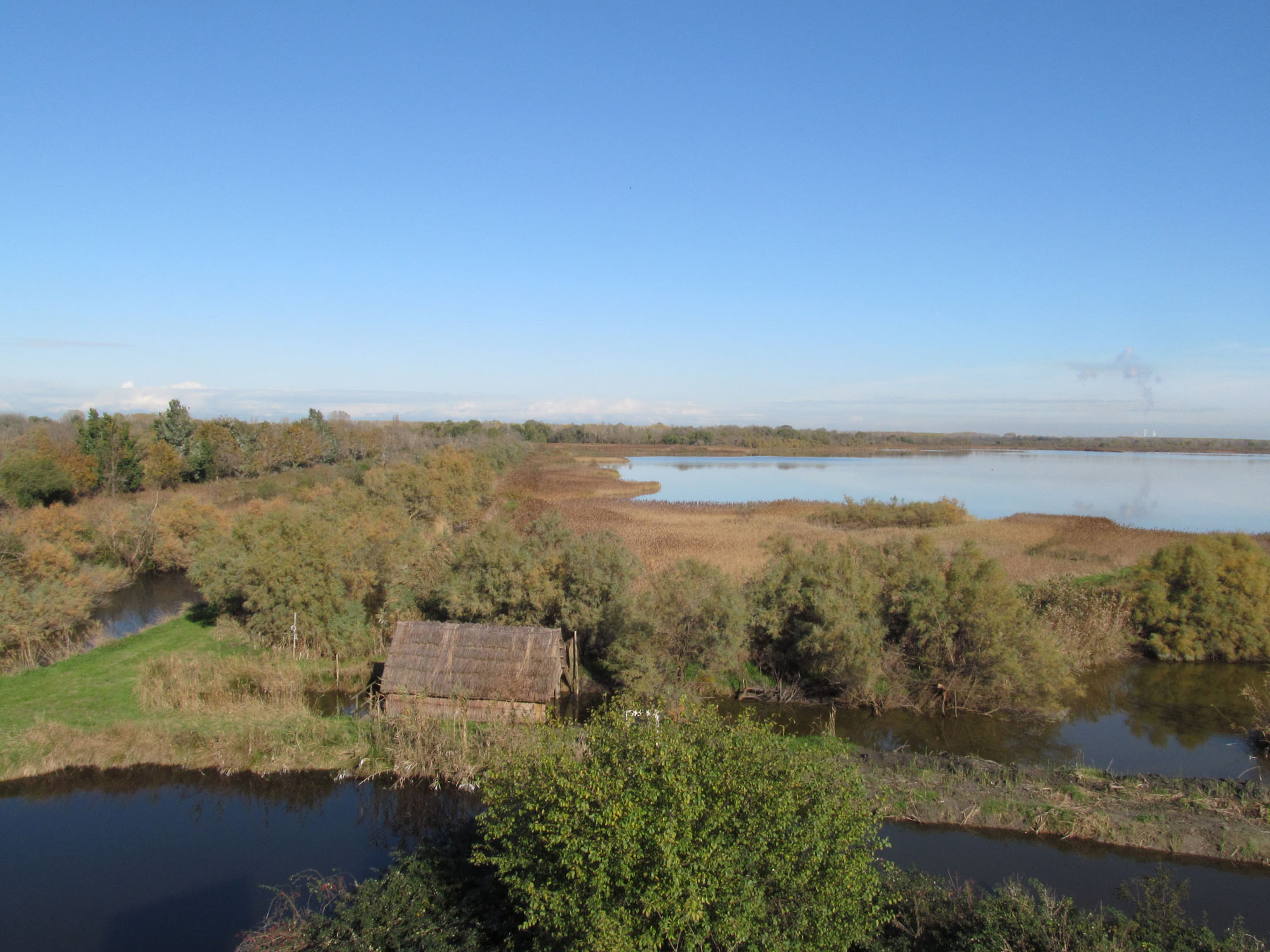 Canali nell'oasi di Valle Averto © M. Bernardi