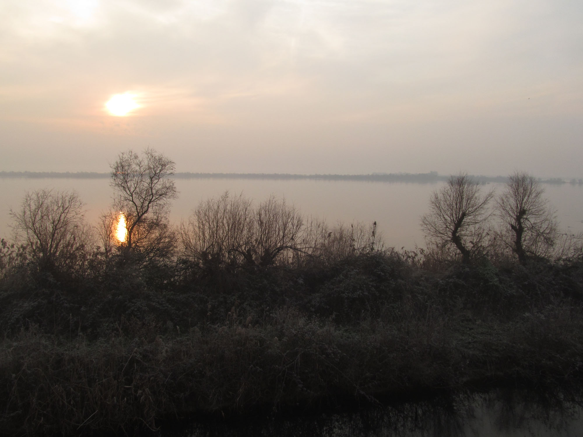 Oasi di Valle Averto © M. Bernardi
