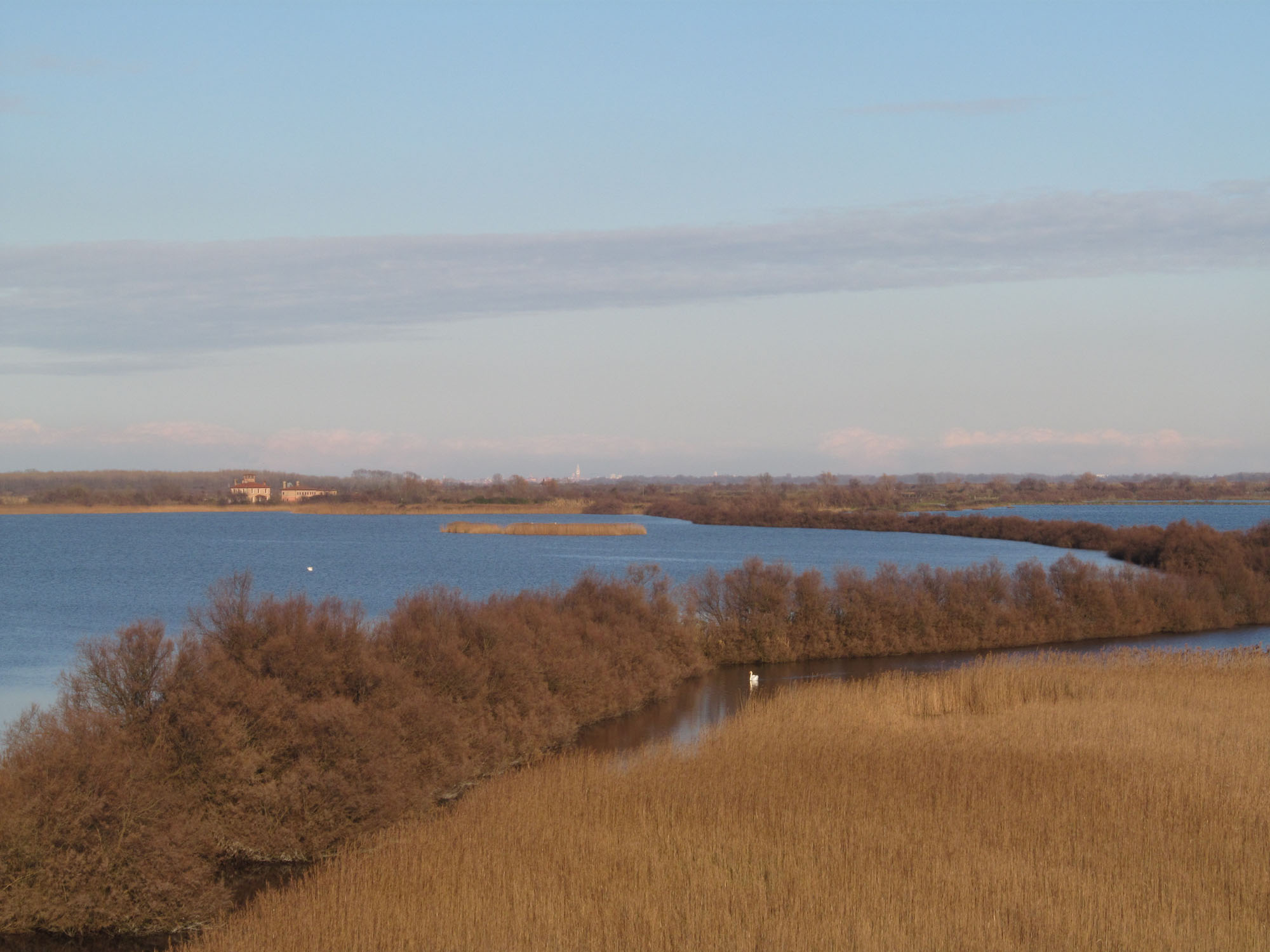 Oasi di Valle Averto © M. Bernardi