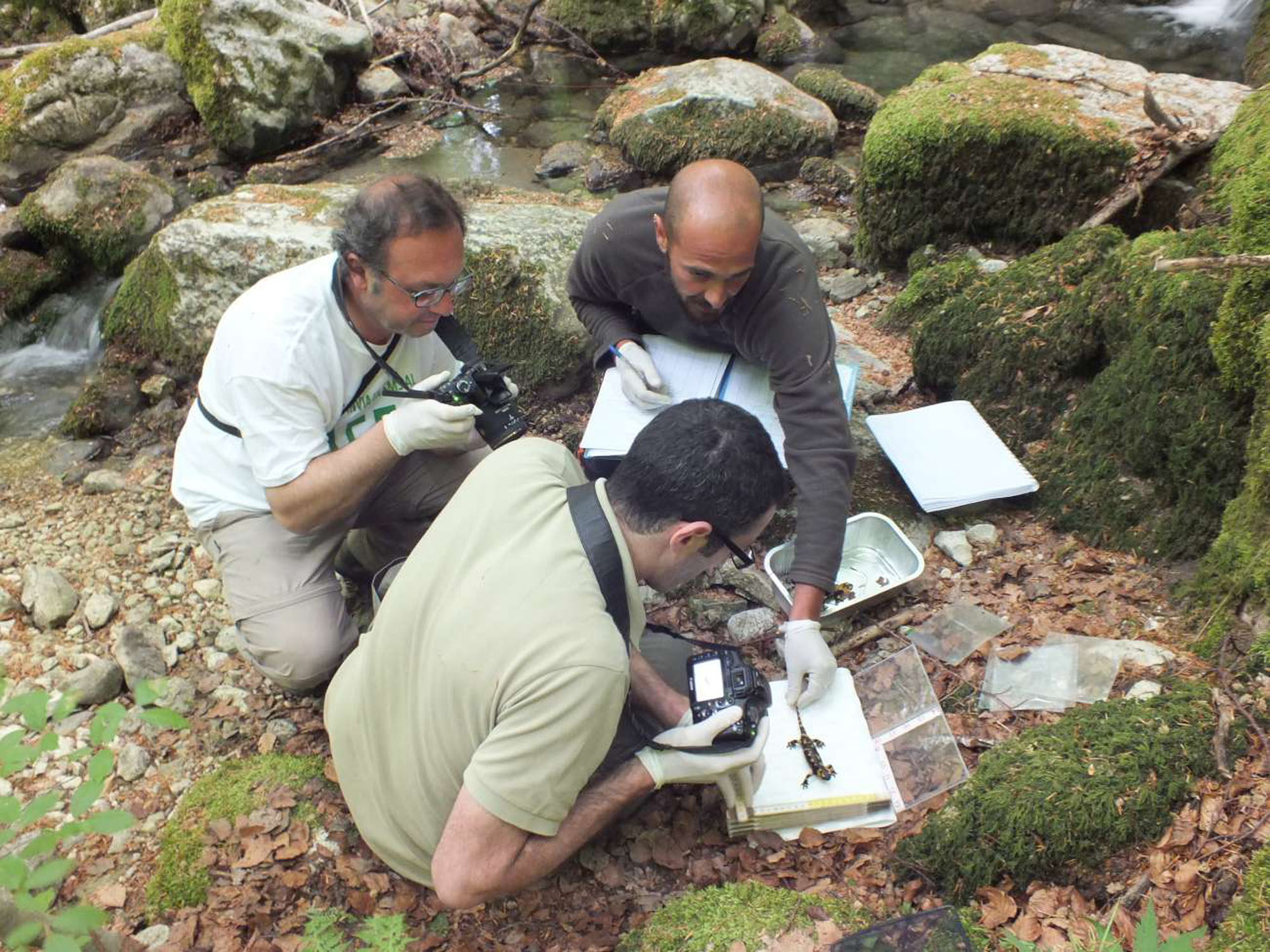 Oasi WWF Guardiaregia- Campochiaro © Anastasia Felice