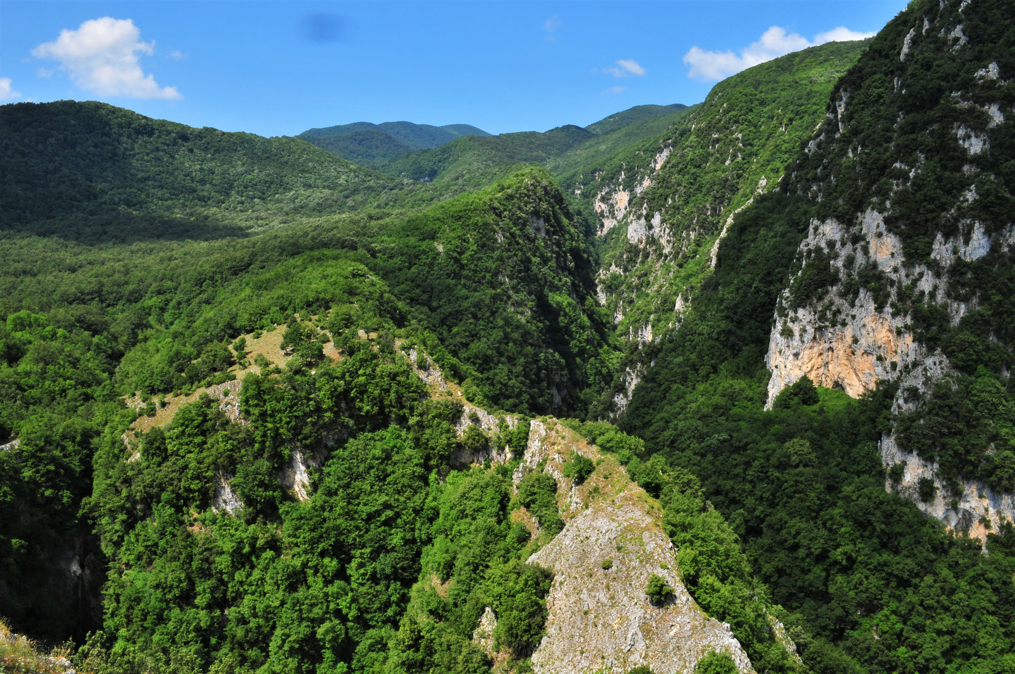 Oasi WWF Guardiaregia- Campochiaro © Nicola Merola