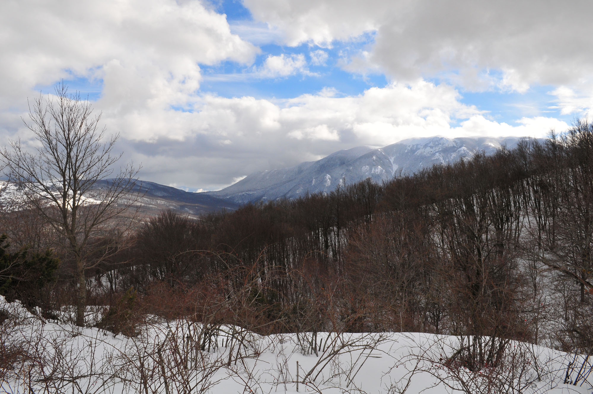 Oasi WWF Guardiaregia- Campochiaro © Nicola Merola