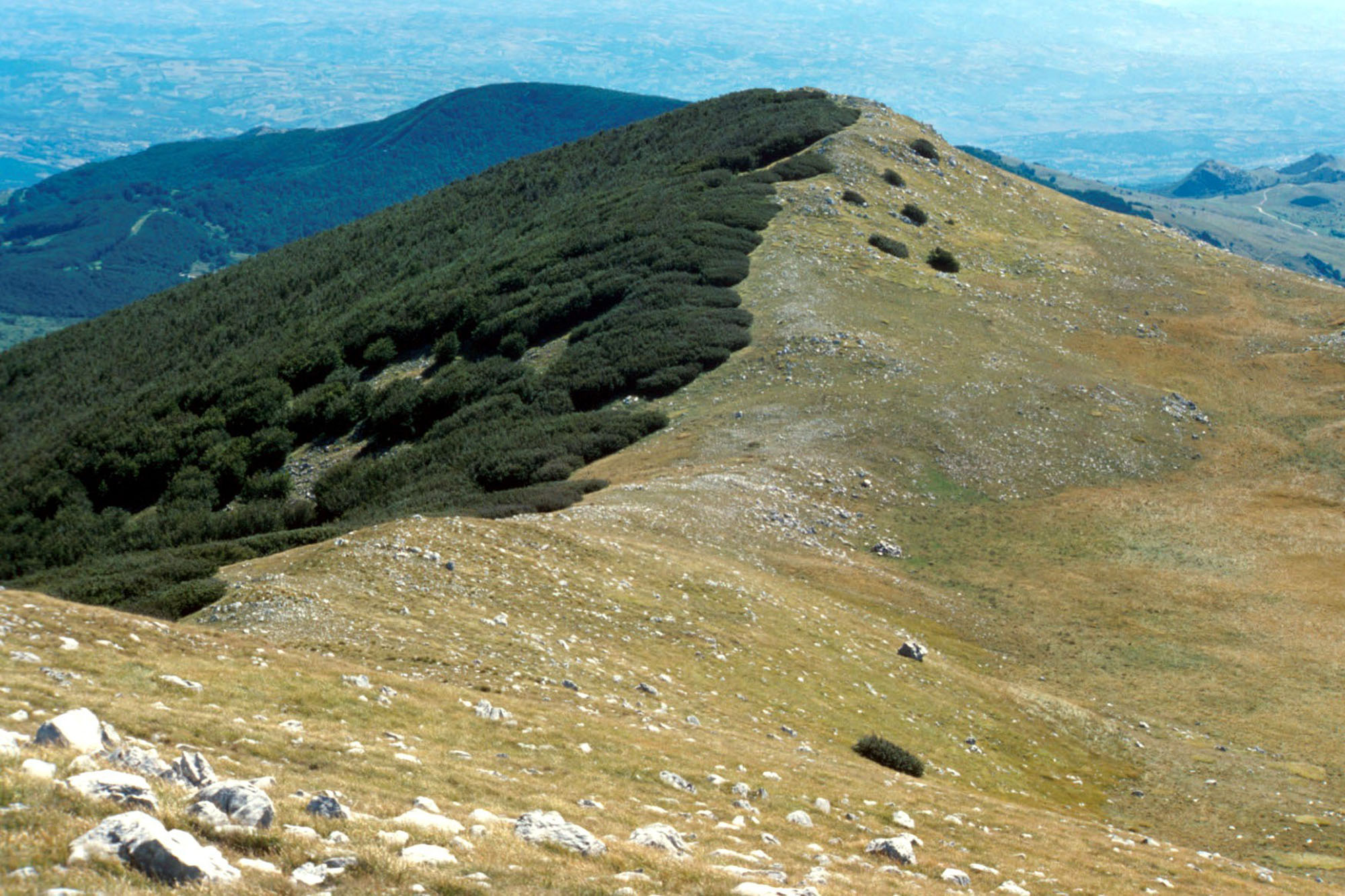 Oasi WWF Guardiaregia- Campochiaro, dorsale Monte Mutria © N. Merola