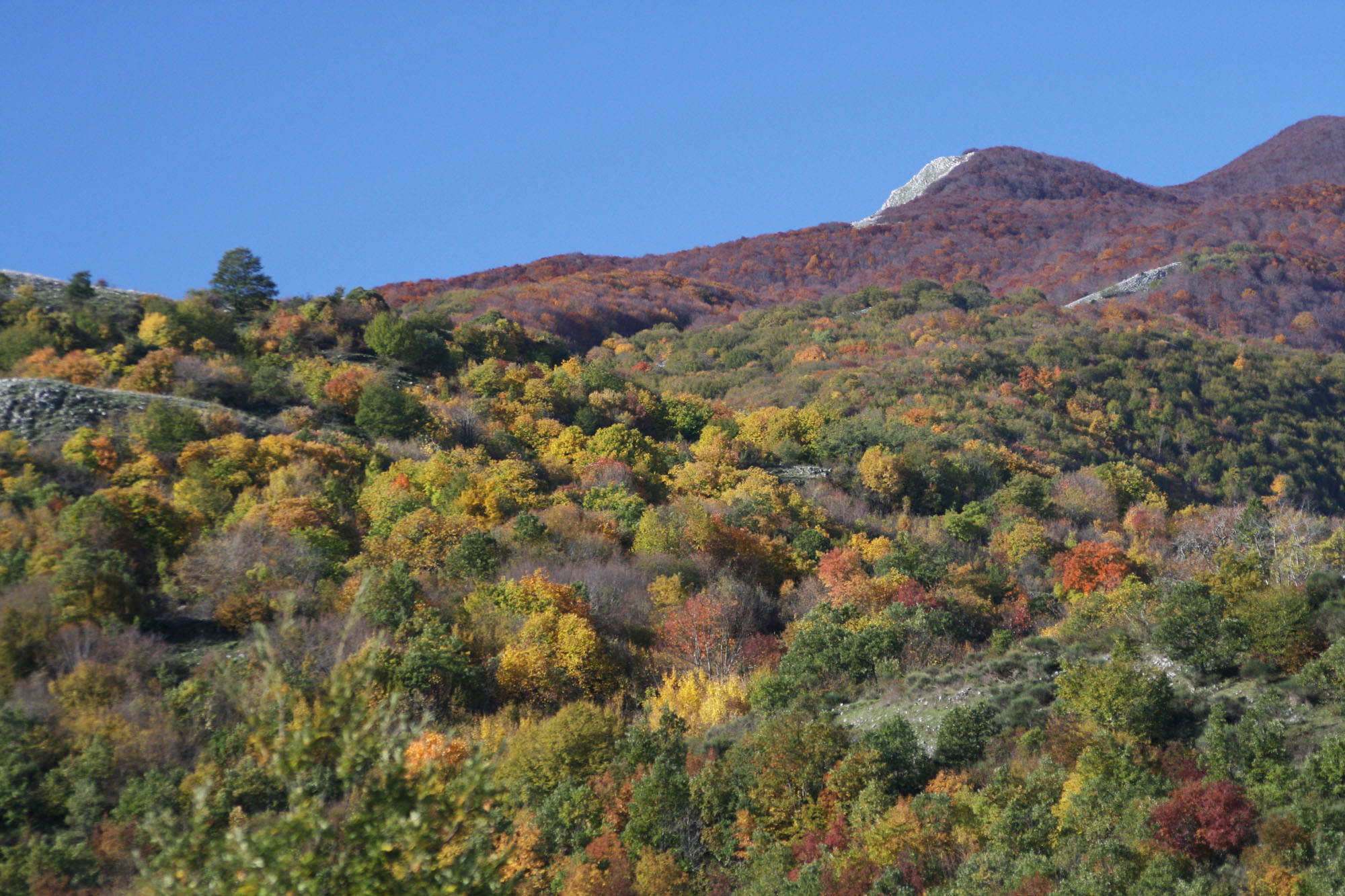 Oasi WWF Guardiaregia- Campochiaro in autunno © M. Marinelli