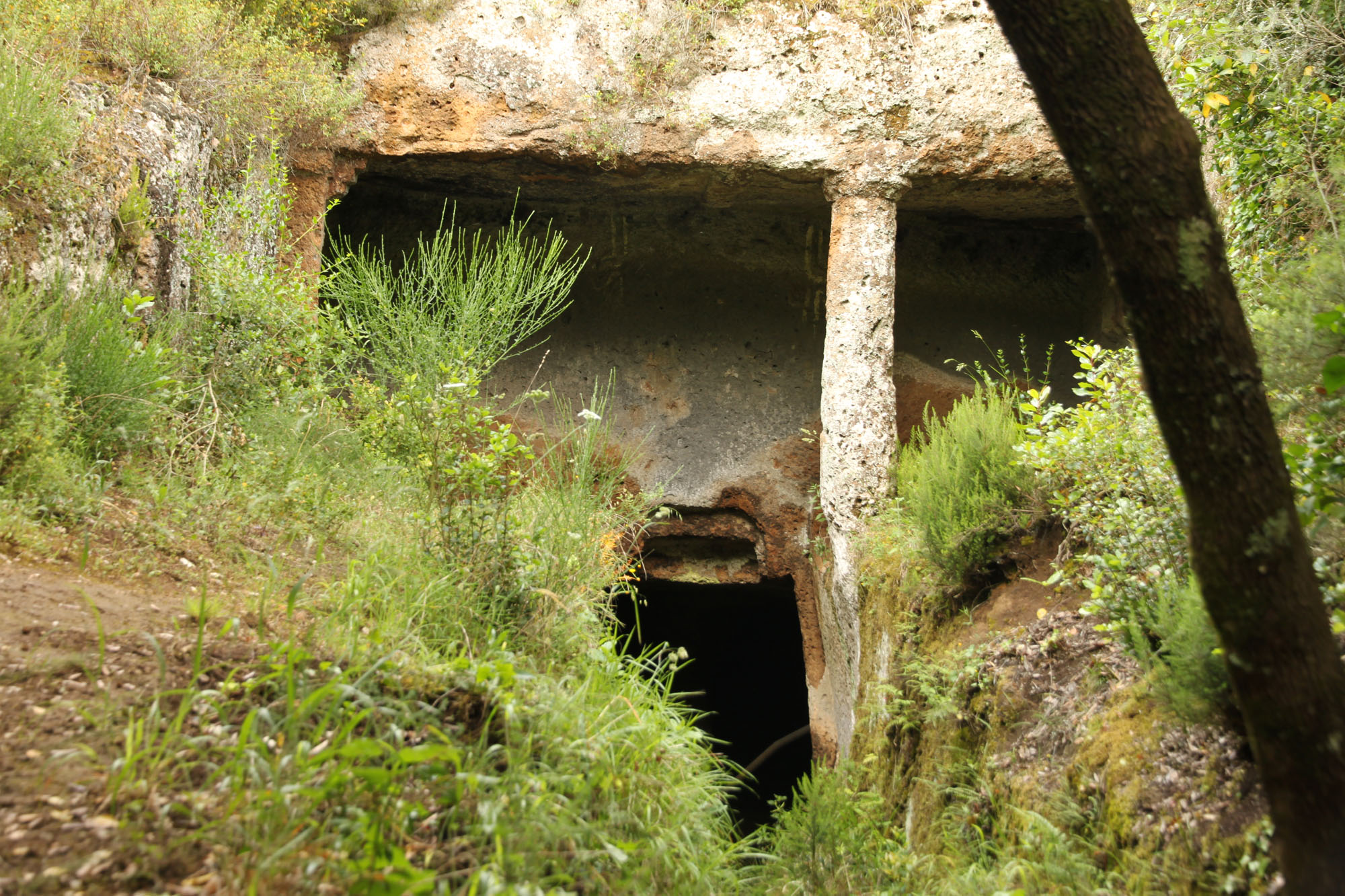 Oasi di Pian Sant’Angelo ©WWF Italia
