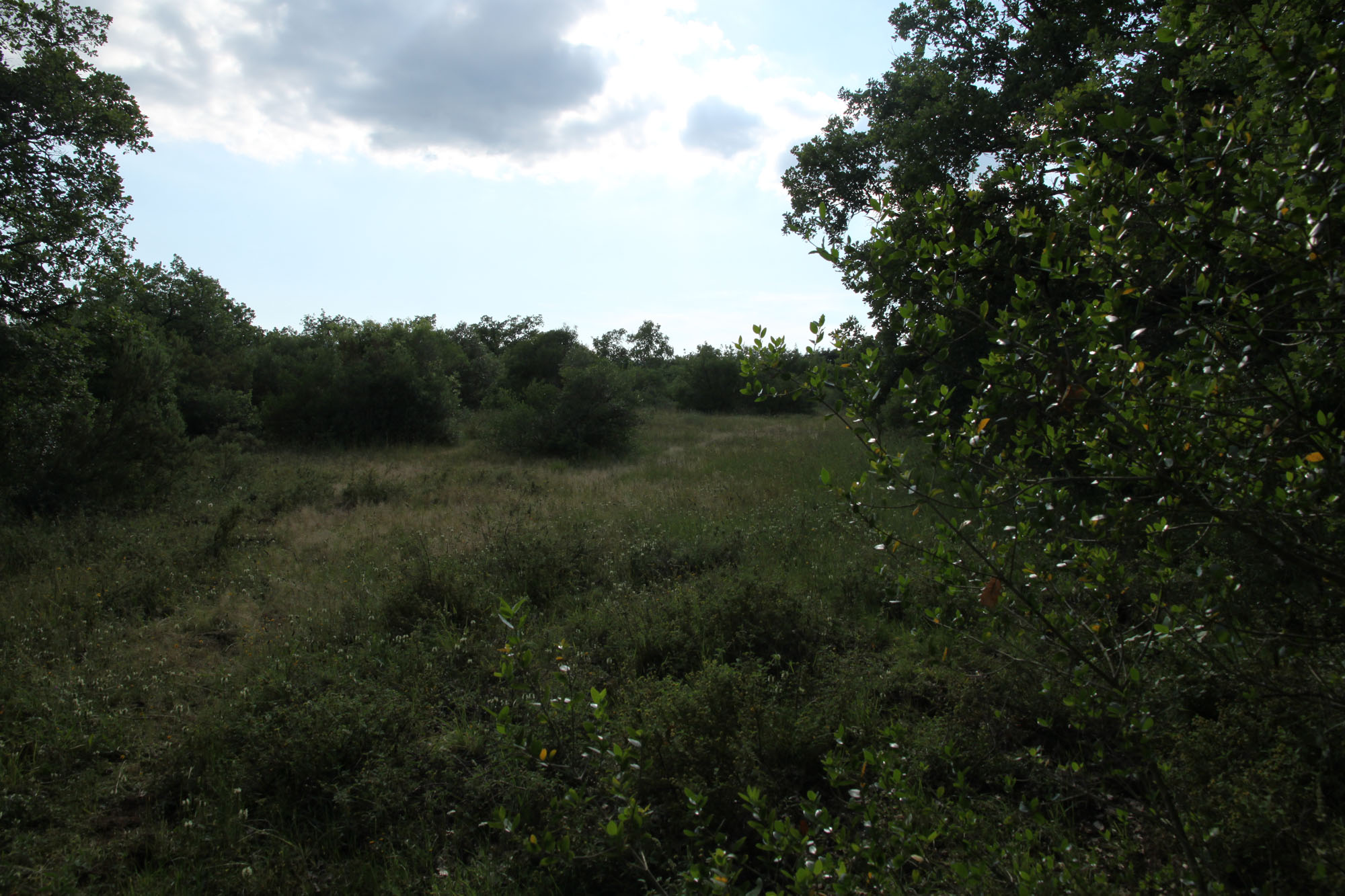 Oasi di Pian Sant’Angelo ©WWF Italia