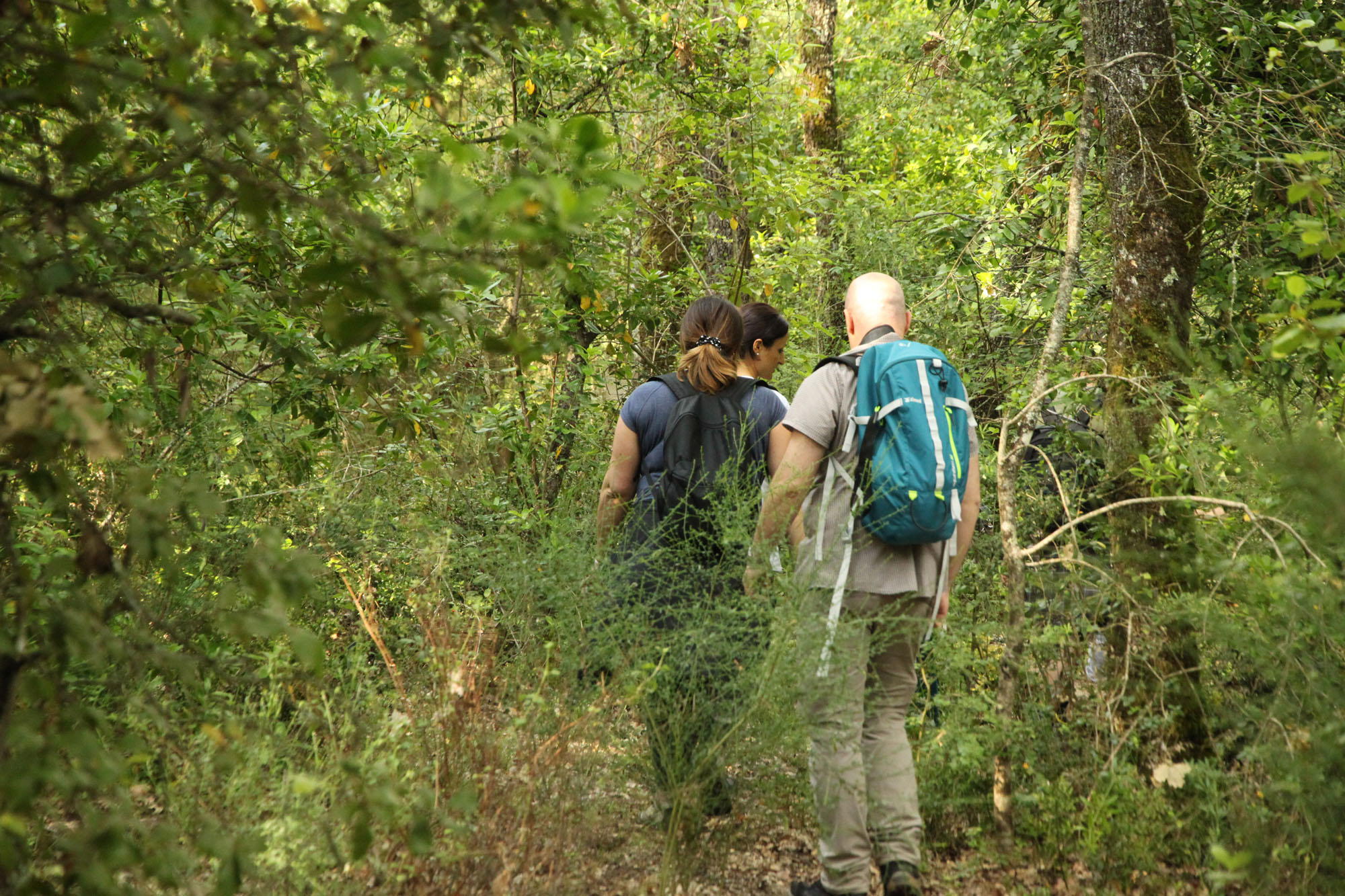Oasi di Pian Sant’Angelo ©WWF Italia