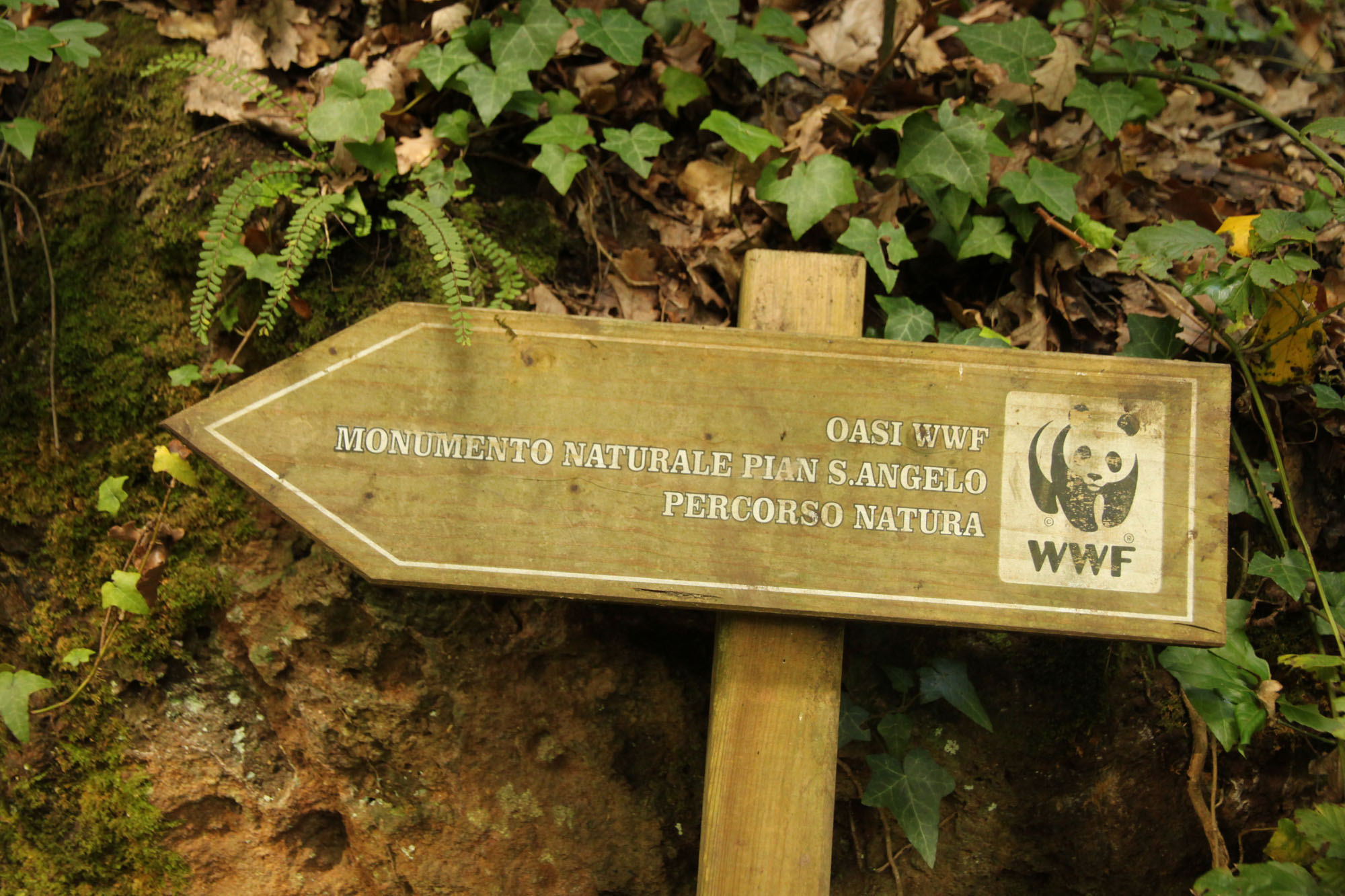 Oasi di Pian Sant’Angelo ©WWF Italia