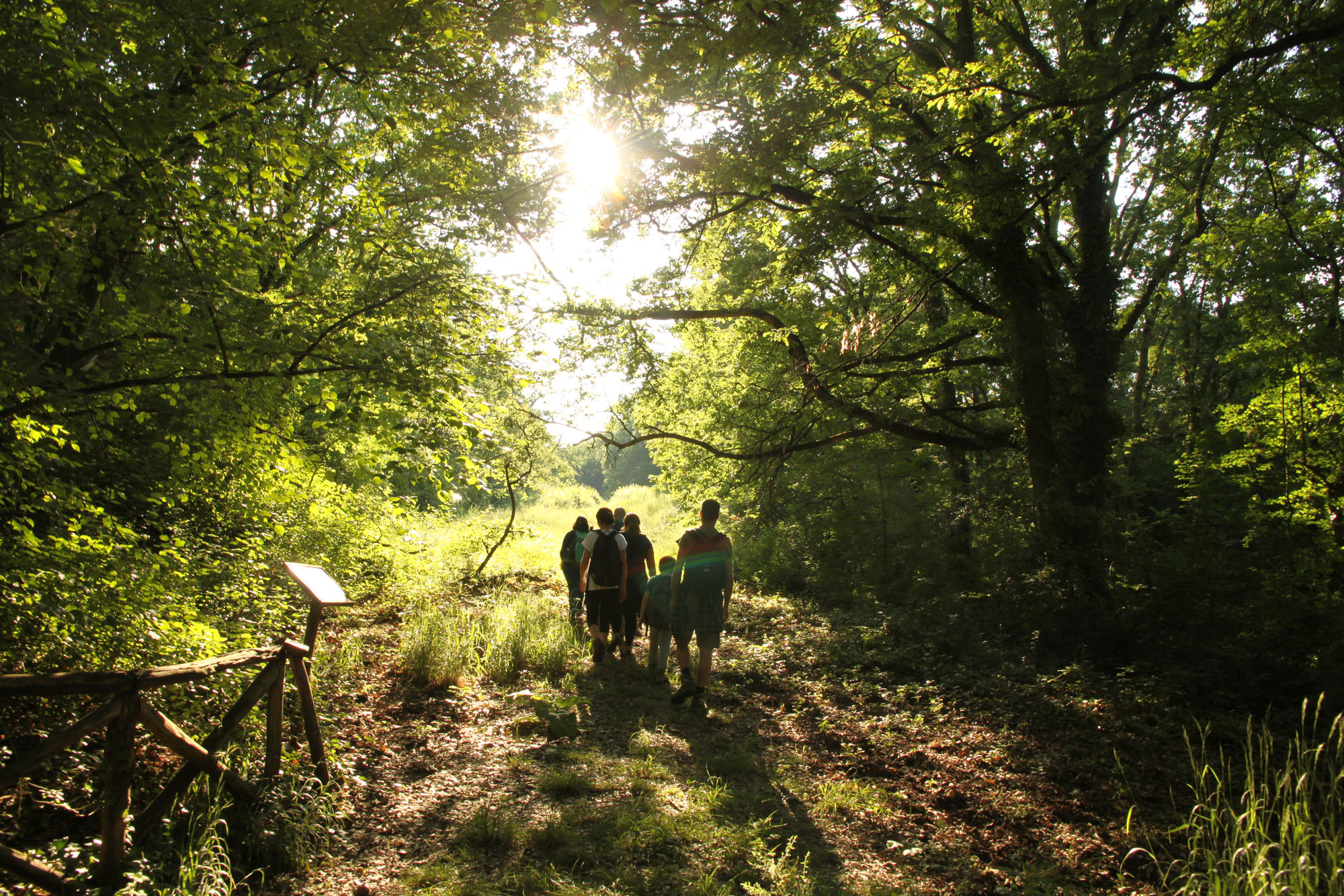 Oasi di Pian Sant’Angelo ©WWF Italia