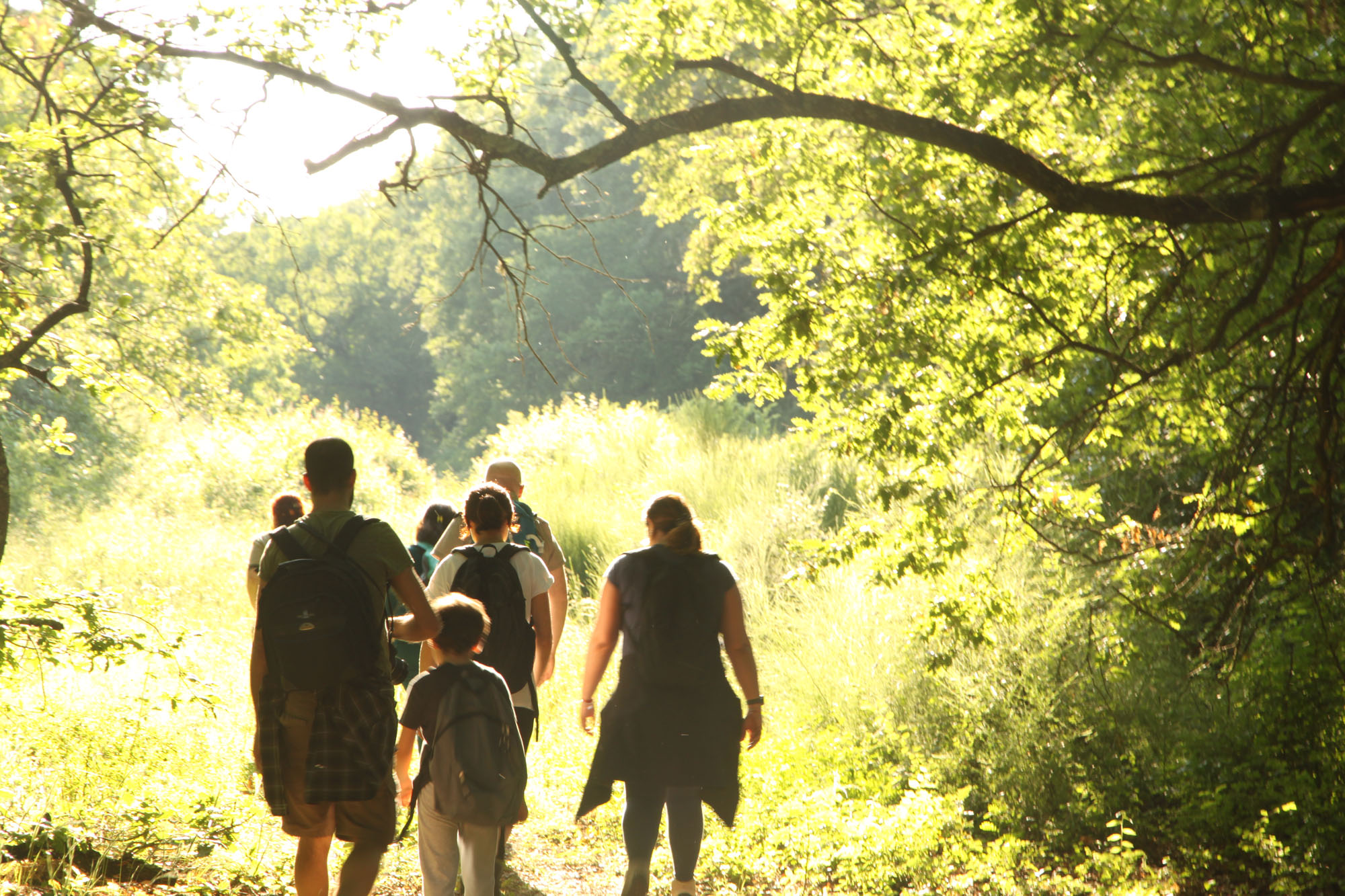Oasi di Pian Sant’Angelo ©WWF Italia