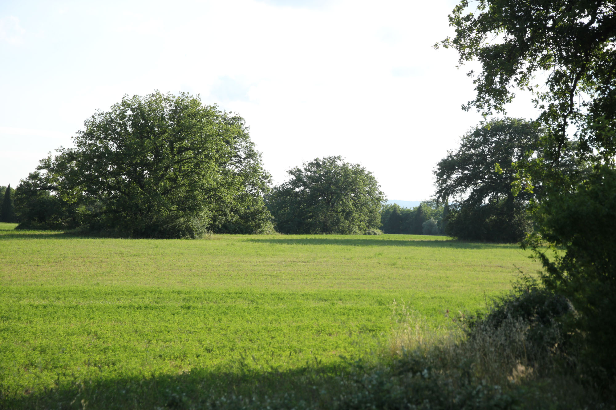 Oasi di Pian Sant’Angelo ©WWF Italia