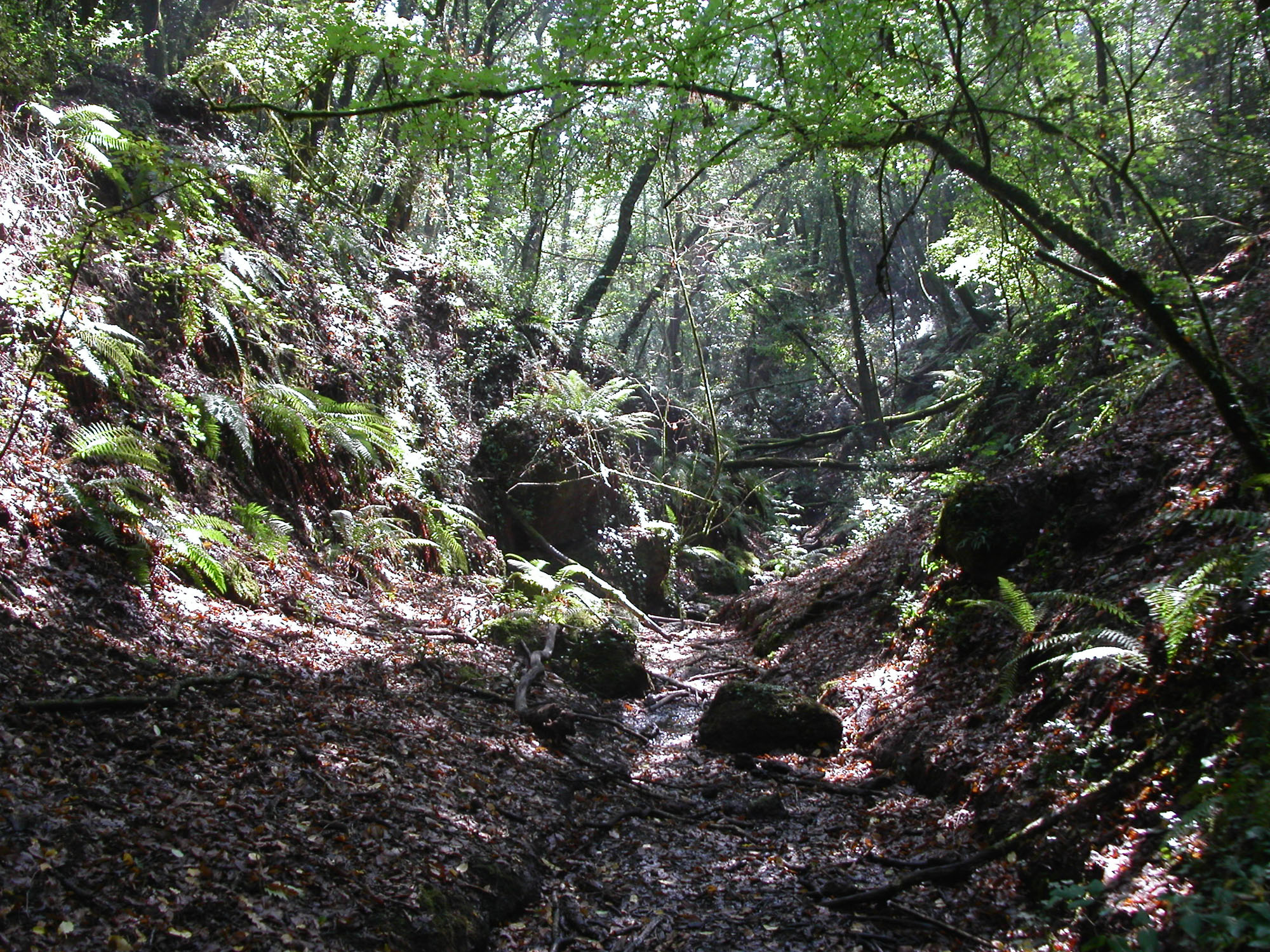 Forra, Oasi di Pian Sant’Angelo © Alessandro Ammann