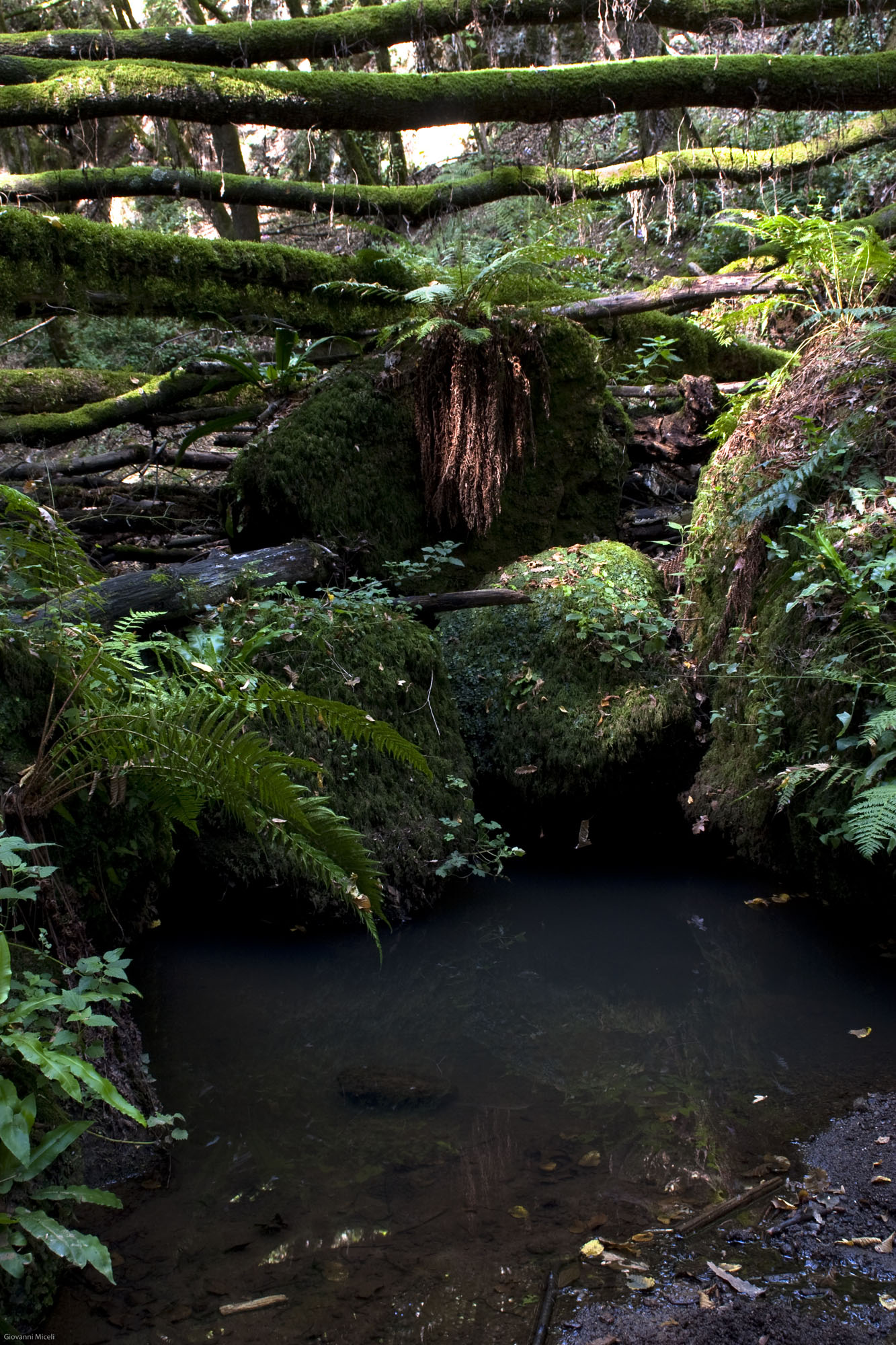 Forra, Oasi di Pian Sant’Angelo © Giovanni Miceli