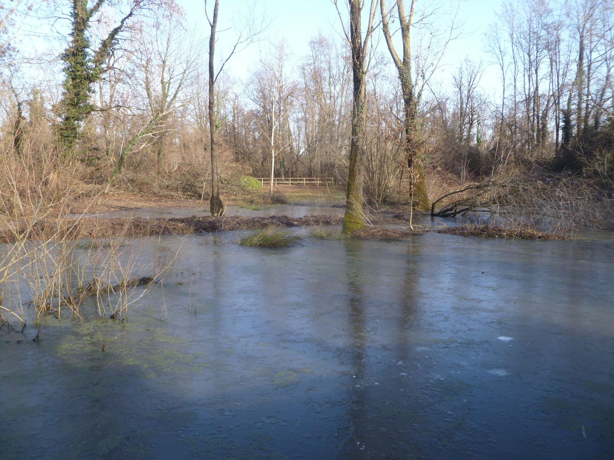 Oasi Le Foppe © Fabio Cologni