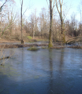 Fotogallery 2