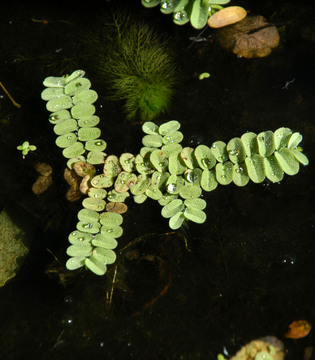 Fotogallery 5
