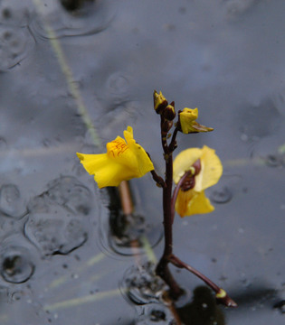 Fotogallery 6