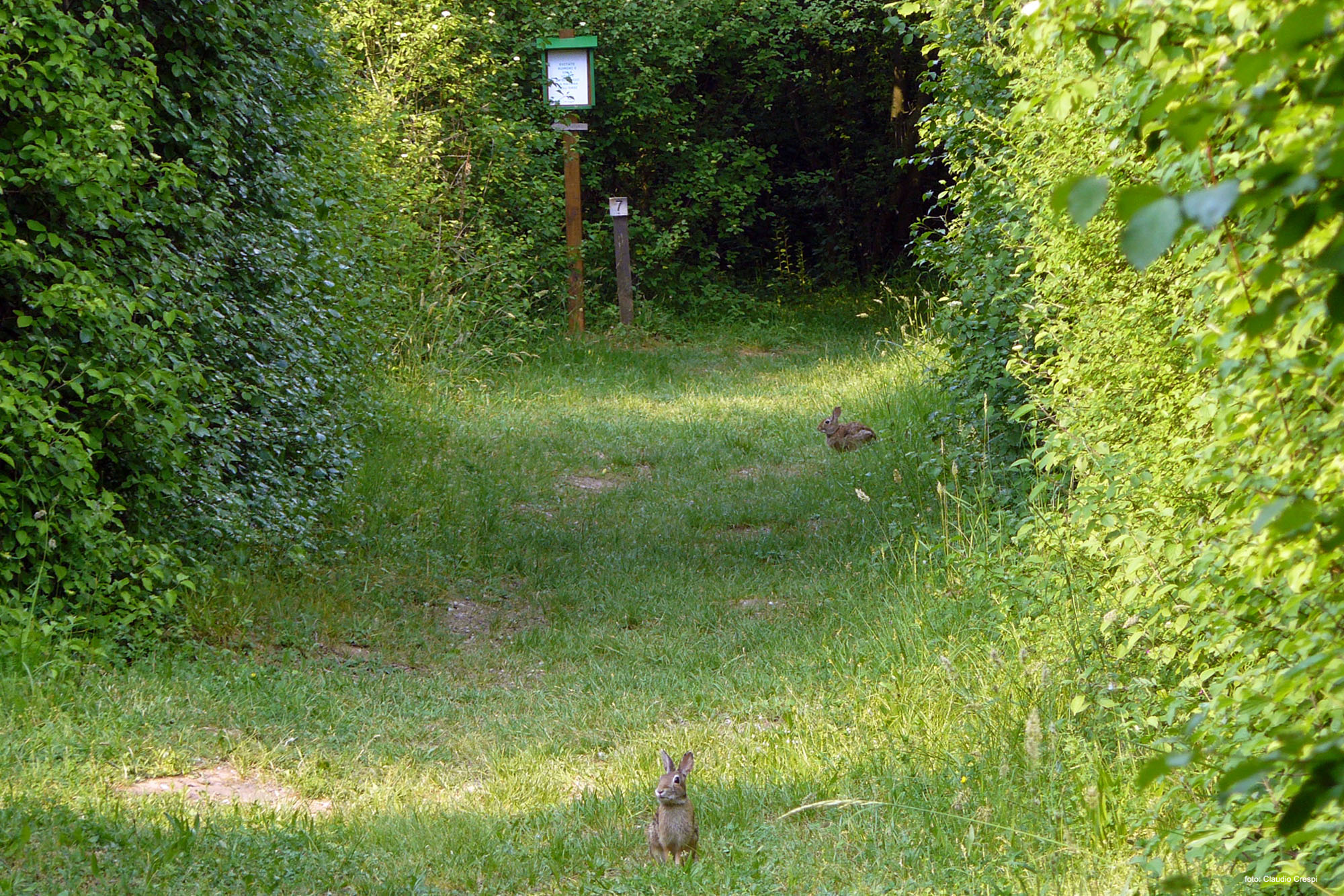 Oasi Le Foppe © Archivio WWF