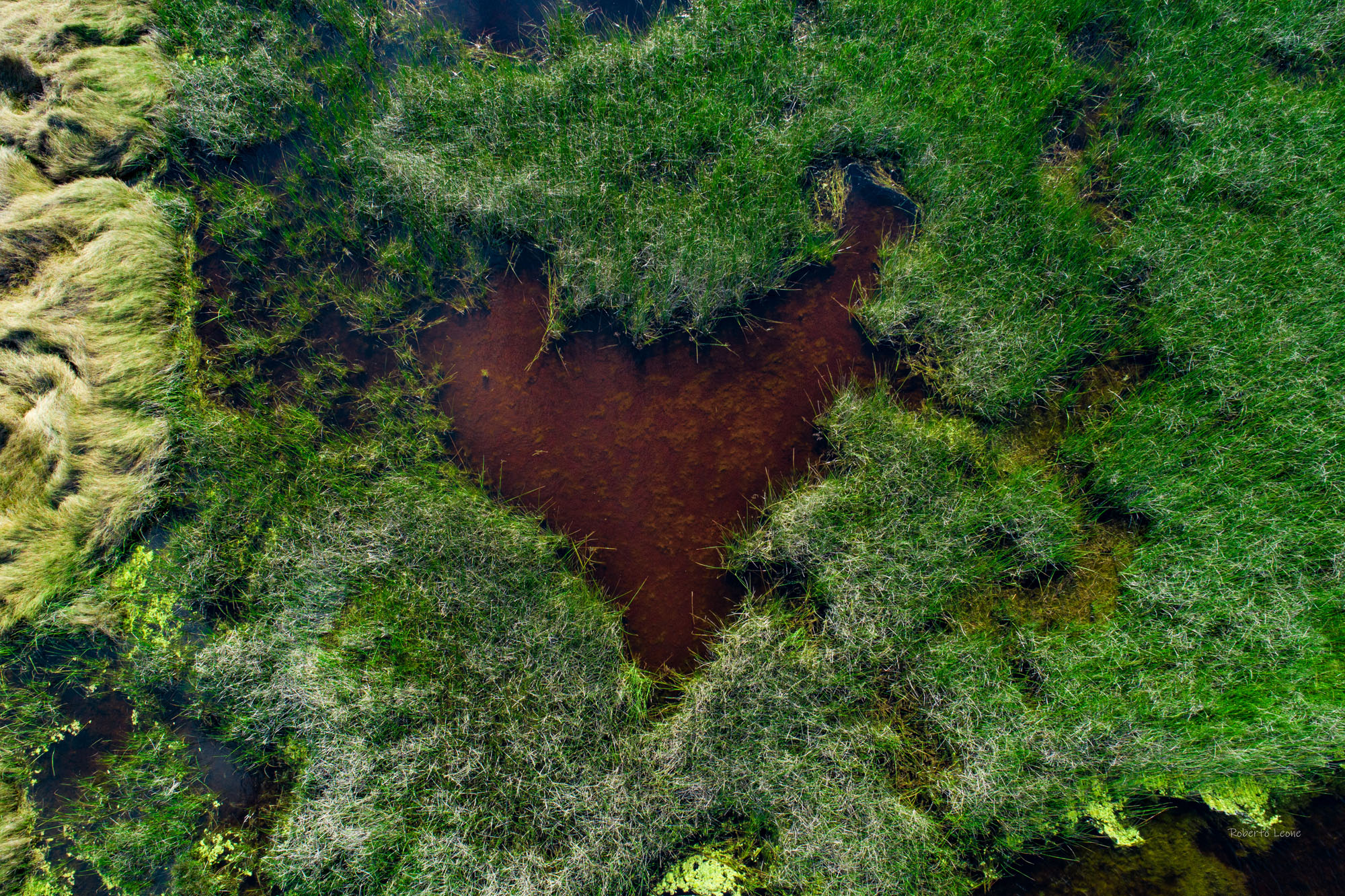 Le Cesine © Roberto Leone