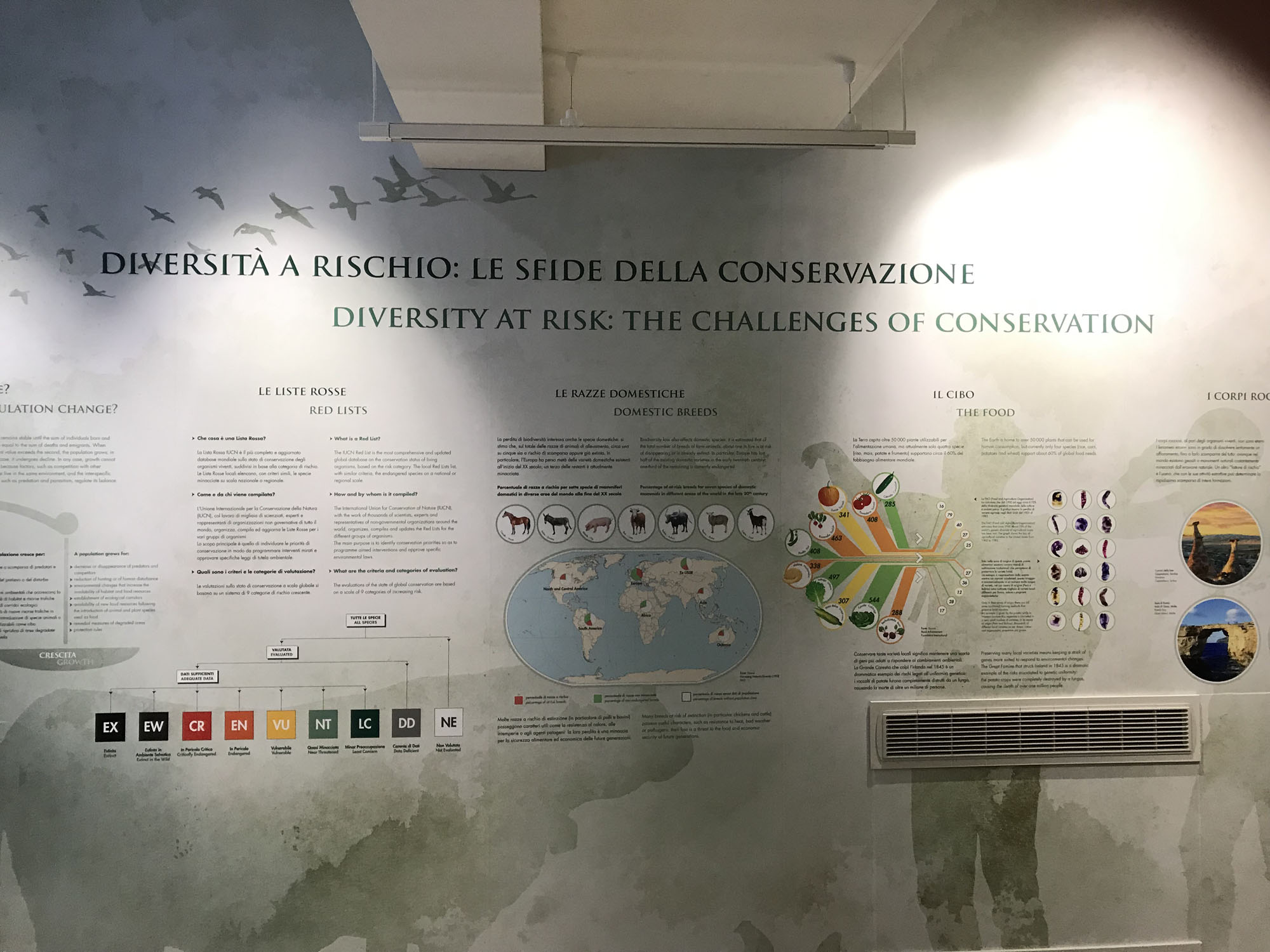 Museo della Biodiversità di Monticiano ©WWF Italia