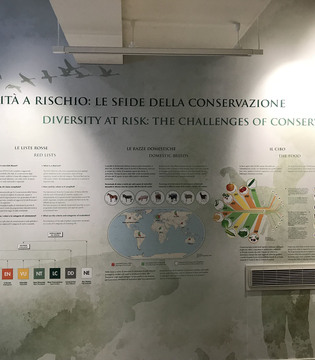 Museo della Biodiversità di Monticiano ©WWF Italia