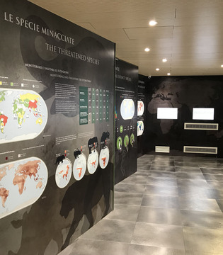 Museo della Biodiversità di Monticiano ©WWF Italia