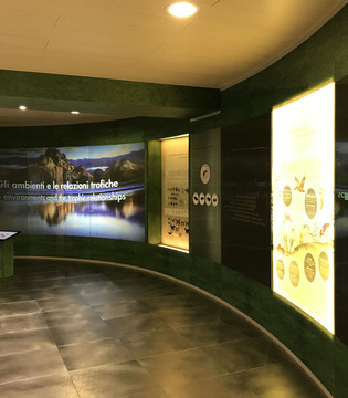 Museo della Biodiversità di Monticiano ©WWF Italia